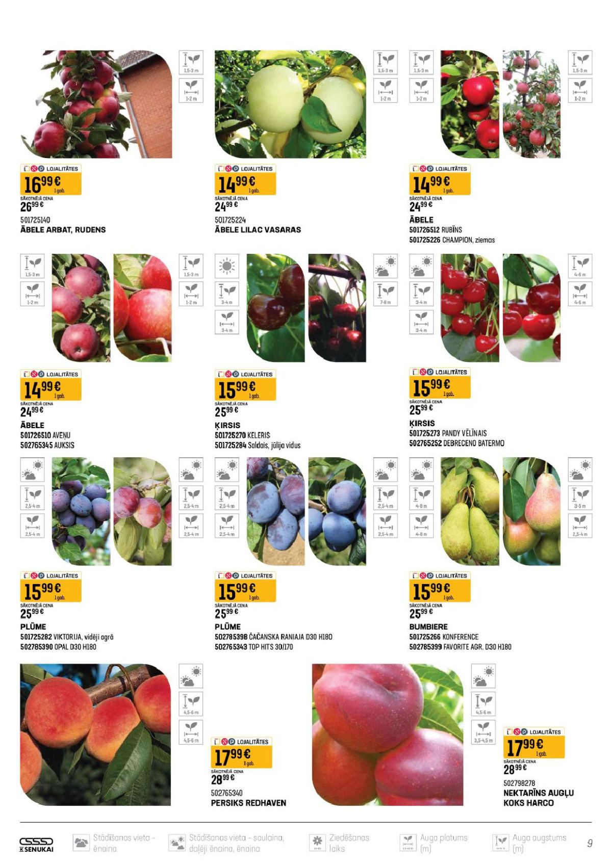 k-senukai - K SENUKAI (16.04.2026 - 14.05.2026) - page: 5