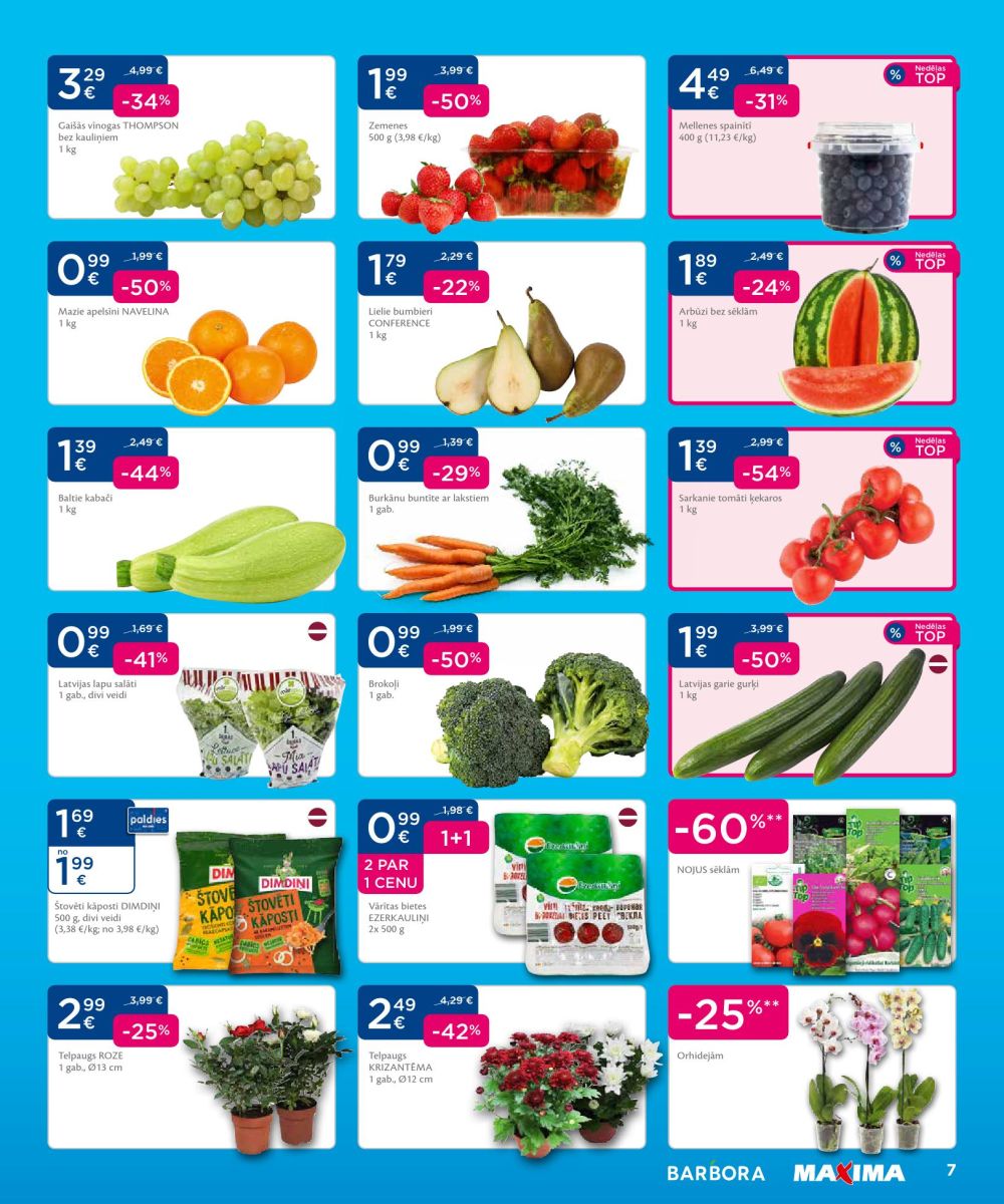 maxima - MAXIMA X XX XXX (06.05.2024 - 12.05.2025) - page: 7