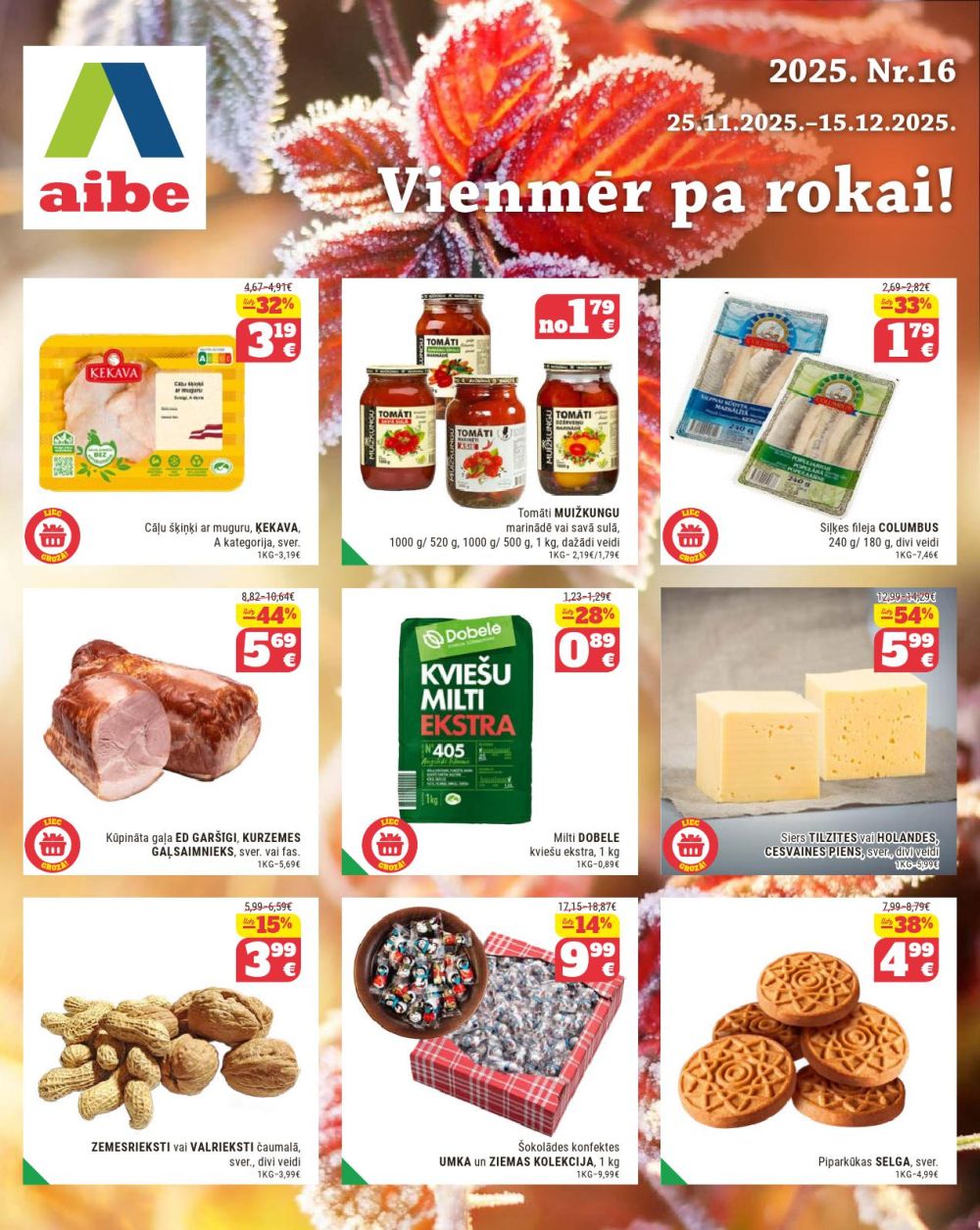 aibe - AIBE (25.11.2025 - 15.12.2025)