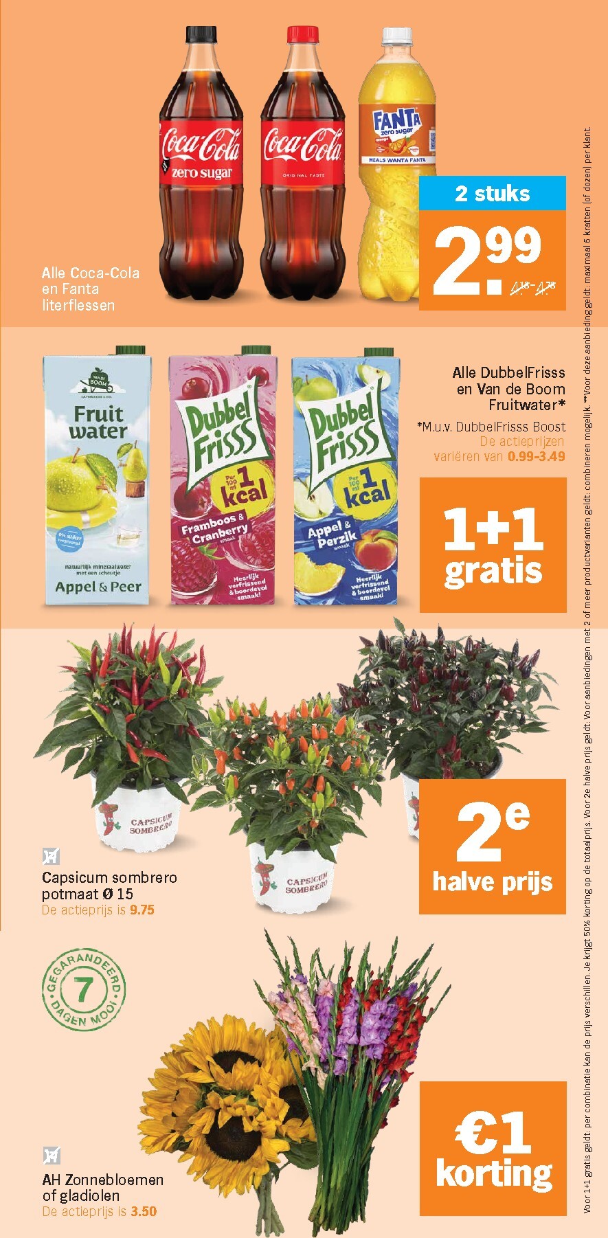 albert-heijn - Albert Heijn folder voor volgende week van maandag 07-09-2026 tot zondag 13-09-2026 - page: 31