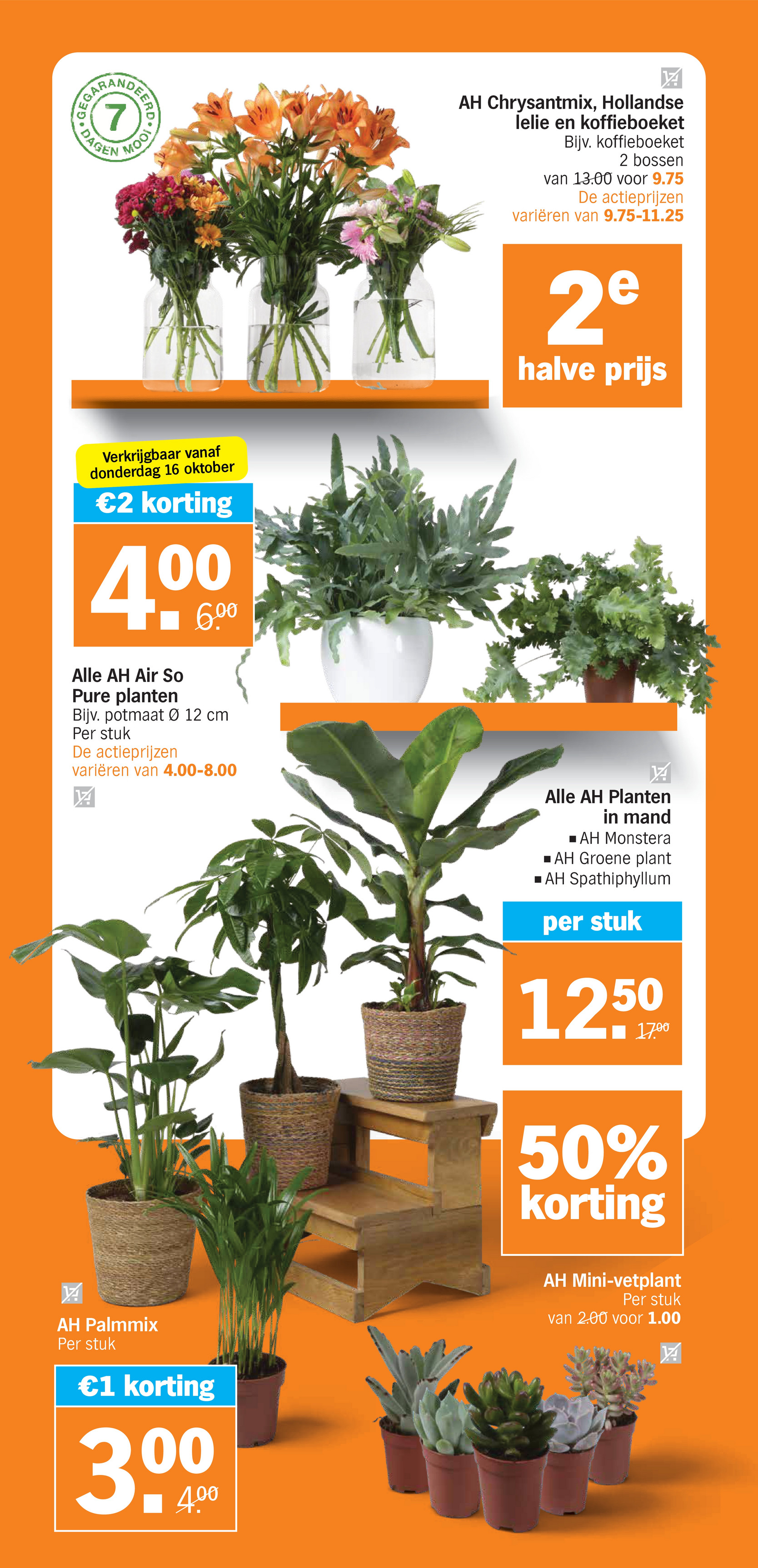 albert-heijn - Albert Heijn folder geldig vanaf 13-10 t/m 19-10 - page: 35