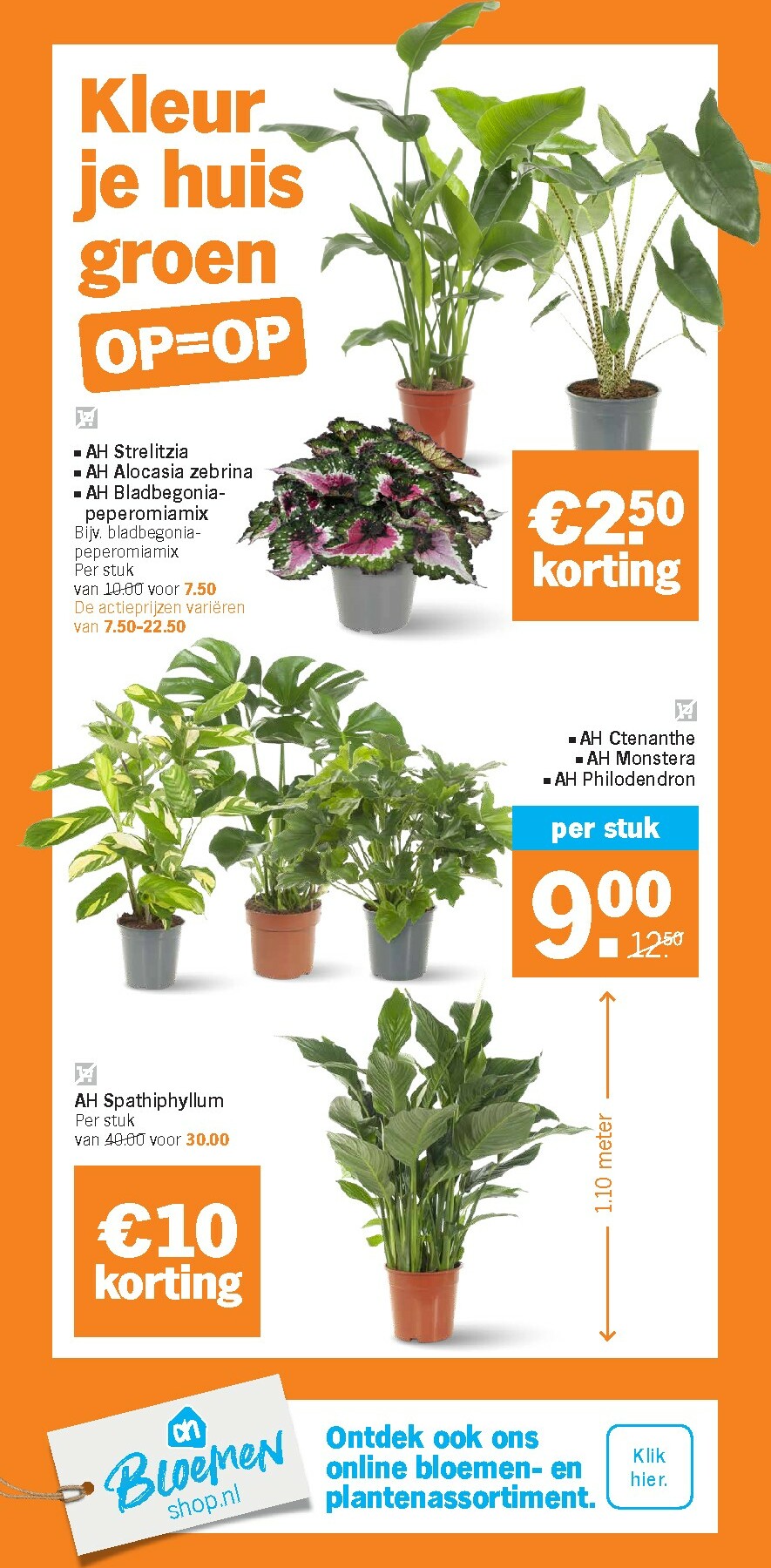 albert-heijn - De Albert Heijn folder geldig vanaf 05-01 t/m 11-01 - page: 37