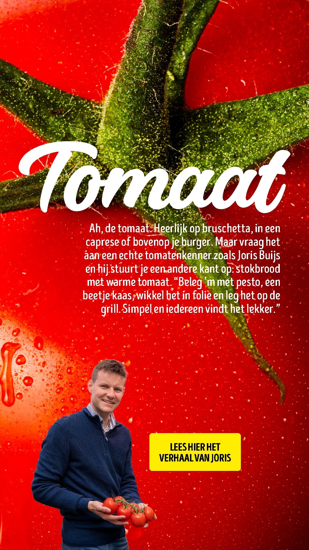 jumbo - Jumbo - JUMMM: de BBQ kan aan folder voor volgende week van maandag 01-06-2026 tot dinsdag 30-06-2026 - page: 19