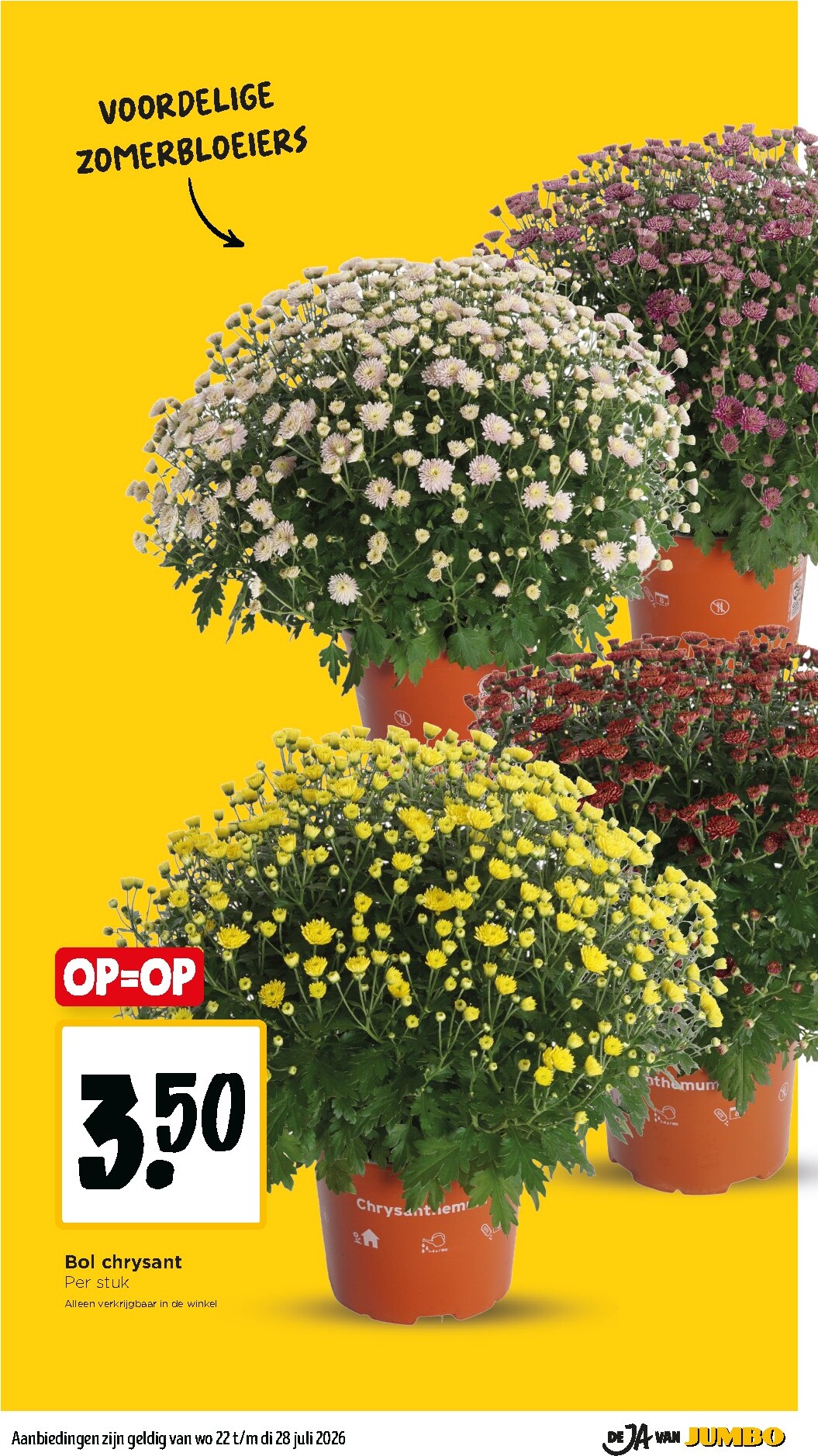 jumbo - Jumbo folder voor volgende week van woensdag 22-07-2026 tot dinsdag 28-07-2026 - page: 28