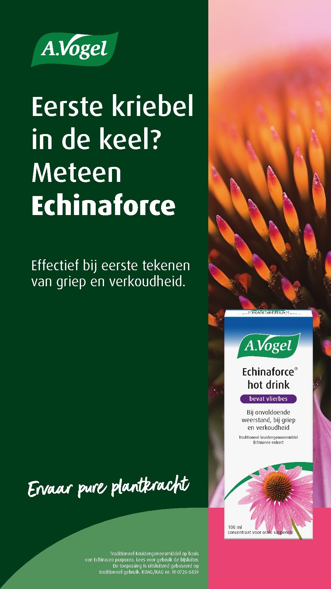 jumbo - Jumbo folder voor volgende week van woensdag 02-09-2026 tot dinsdag 08-09-2026 - page: 36