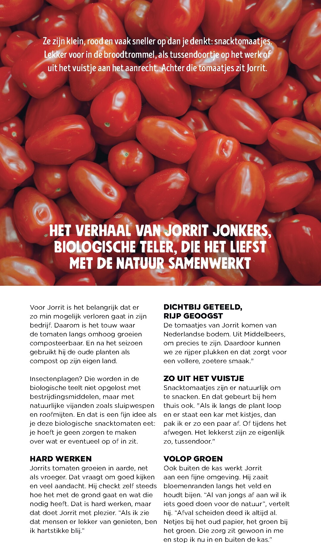 jumbo - Jumbo - Jummm: Terug in het ritme folder voor volgende week van donderdag 24-09-2026 tot woensdag 21-10-2026 - page: 20