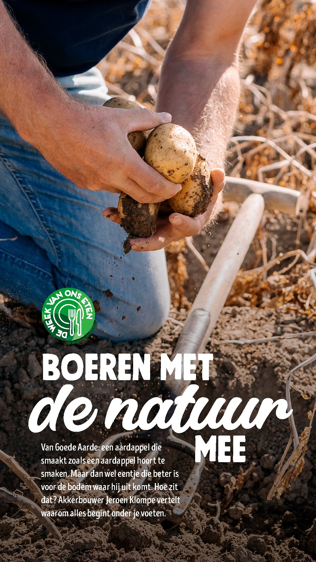 jumbo - Huidige Jumbo - Jummm: Lekker samen tafelen folder geldig van woensdag 30-09-2026 tot dinsdag 20-10-2026 - page: 12