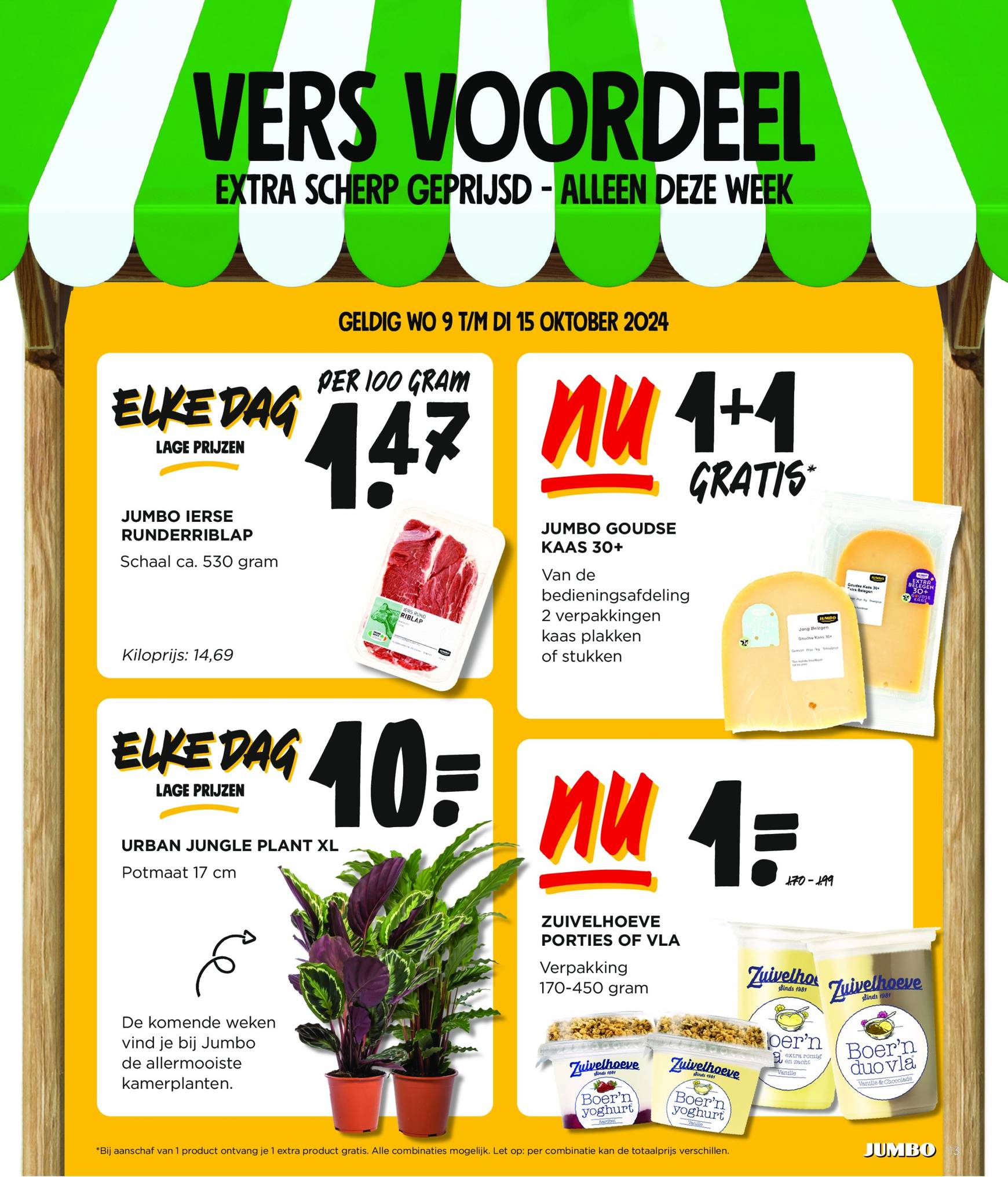 jumbo - Jumbo folder geldig vanaf 09.10. - 15.10. - page: 13