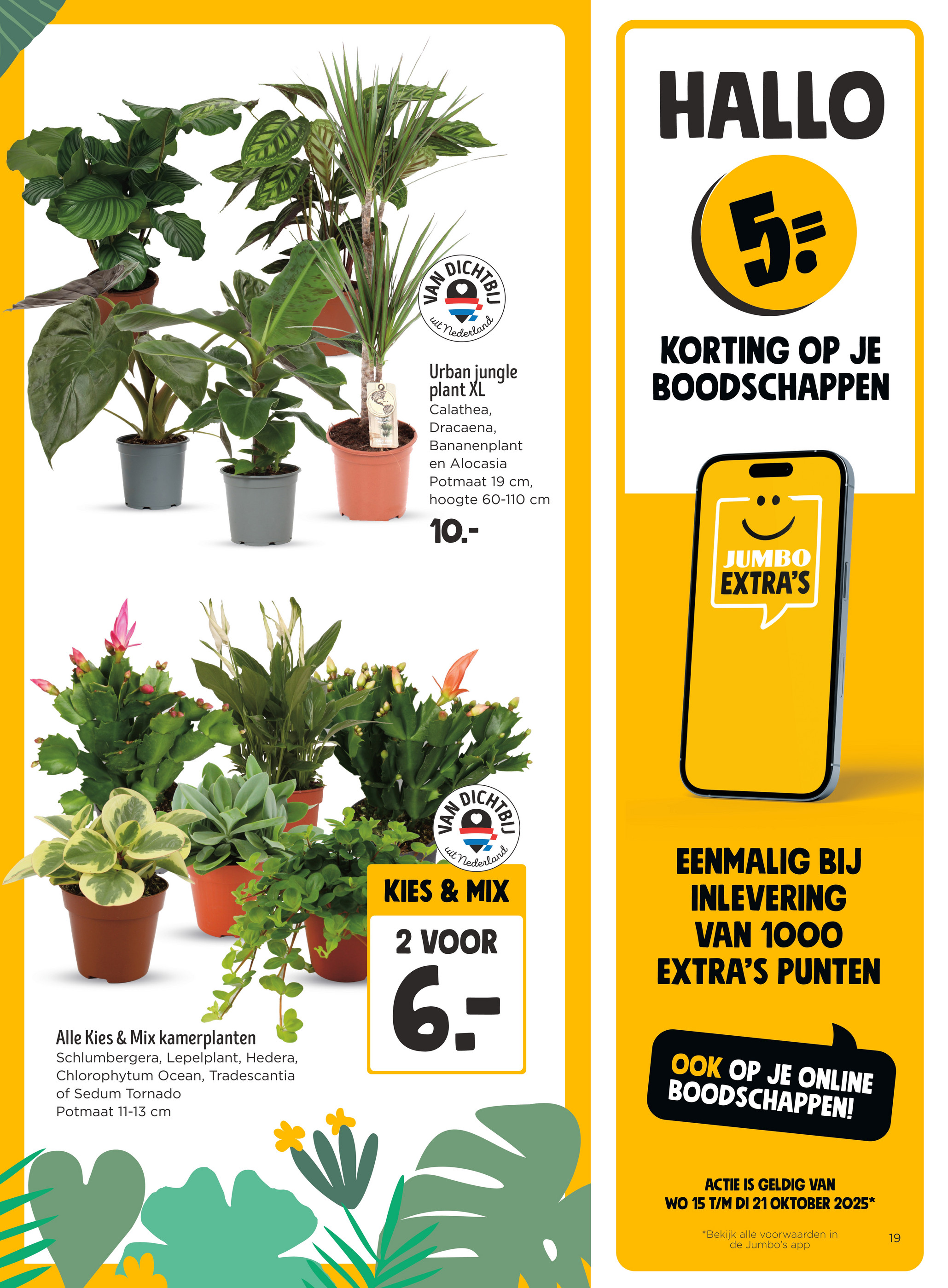 jumbo - Jumbo folder geldig vanaf 15-10 t/m 21-10 - page: 17