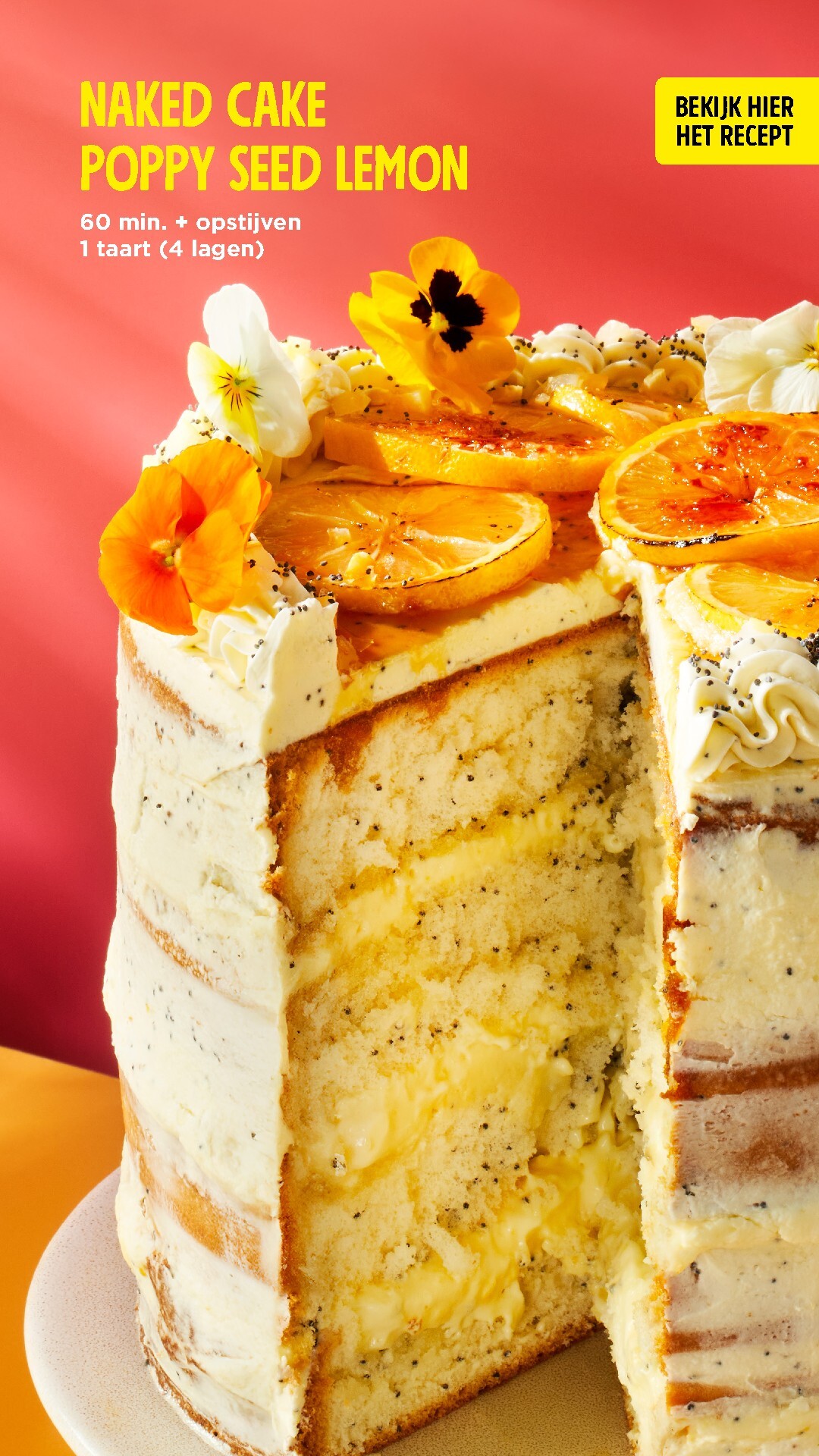 jumbo - De Jumbo - Blader door ons paasmagazine folder geldig vanaf 01-04-2026 t/m 06-04-2026 - page: 57