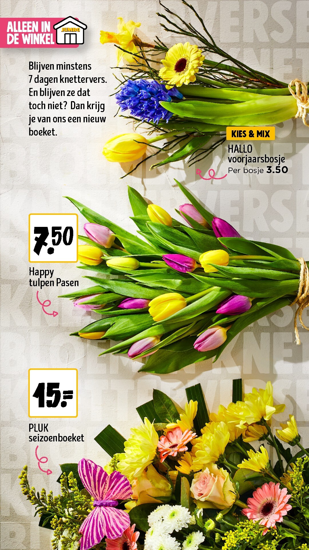 jumbo - De Jumbo - Blader door ons paasmagazine folder geldig vanaf 01-04-2026 t/m 06-04-2026 - page: 36