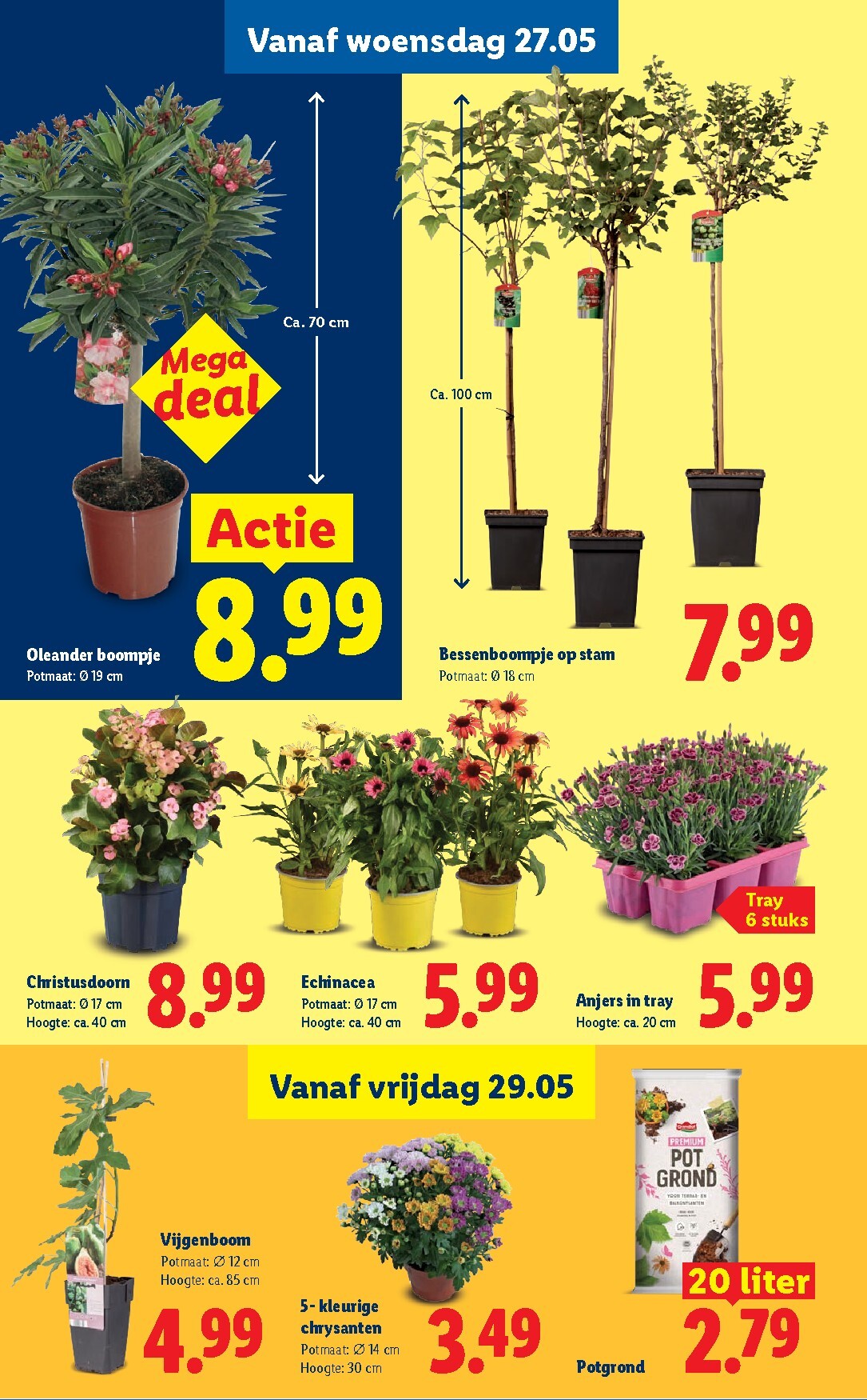 lidl - Lidl folder voor volgende week van maandag 25-05-2026 tot zondag 31-05-2026 - page: 33