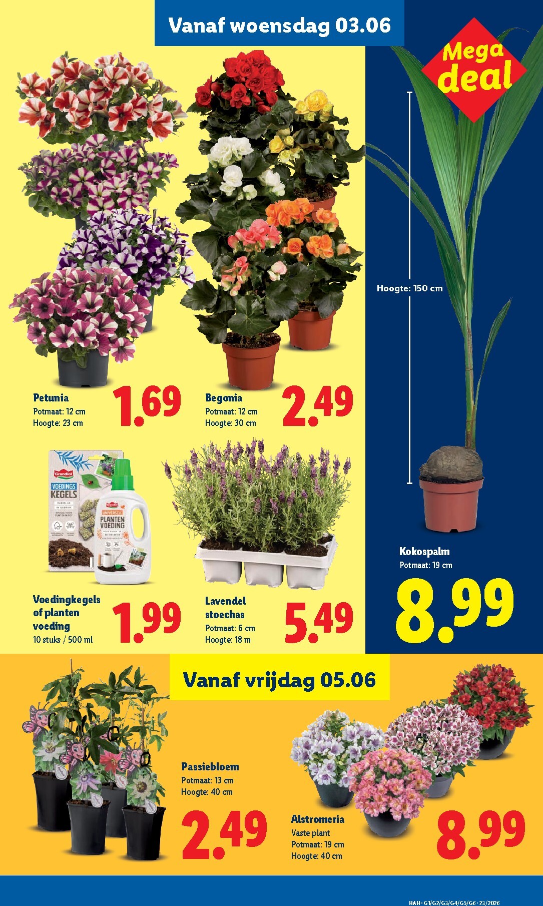 lidl - Lidl folder voor volgende week van maandag 01-06-2026 tot zondag 07-06-2026 - page: 25