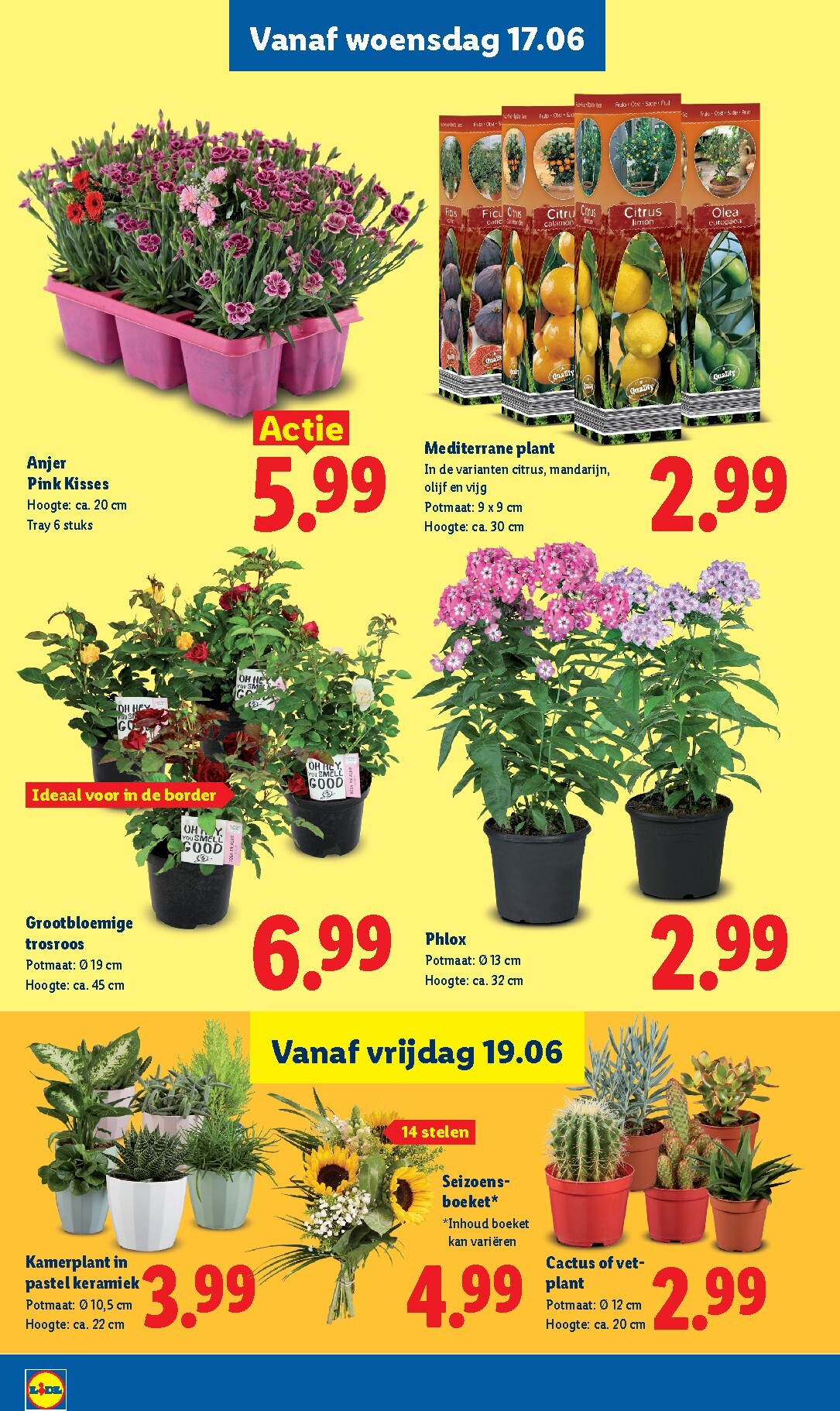 lidl - Lidl folder voor volgende week van maandag 15-06-2026 tot zondag 21-06-2026 - page: 19