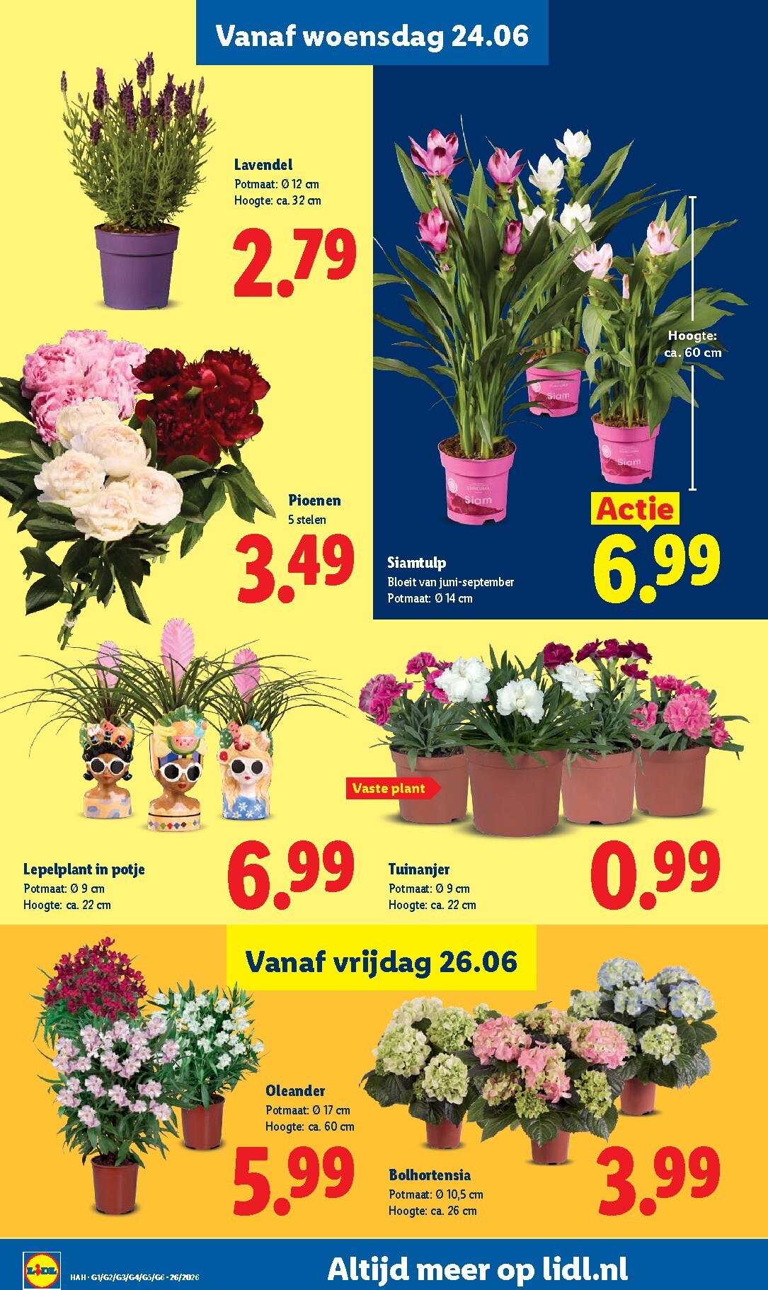 lidl - Huidige Lidl - Folder - Week 26 folder geldig van maandag 22-06-2026 tot zondag 28-06-2026 - page: 19