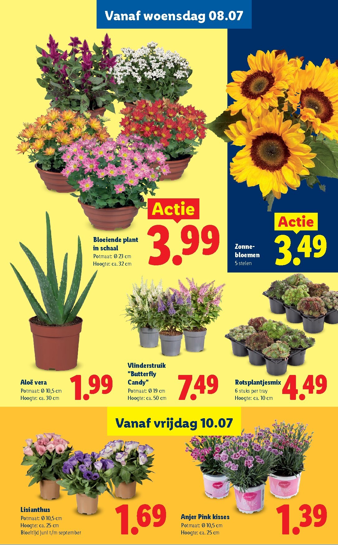 lidl - Lidl - Folder - Week 28 folder voor volgende week van maandag 06-07-2026 tot zondag 12-07-2026 - page: 20