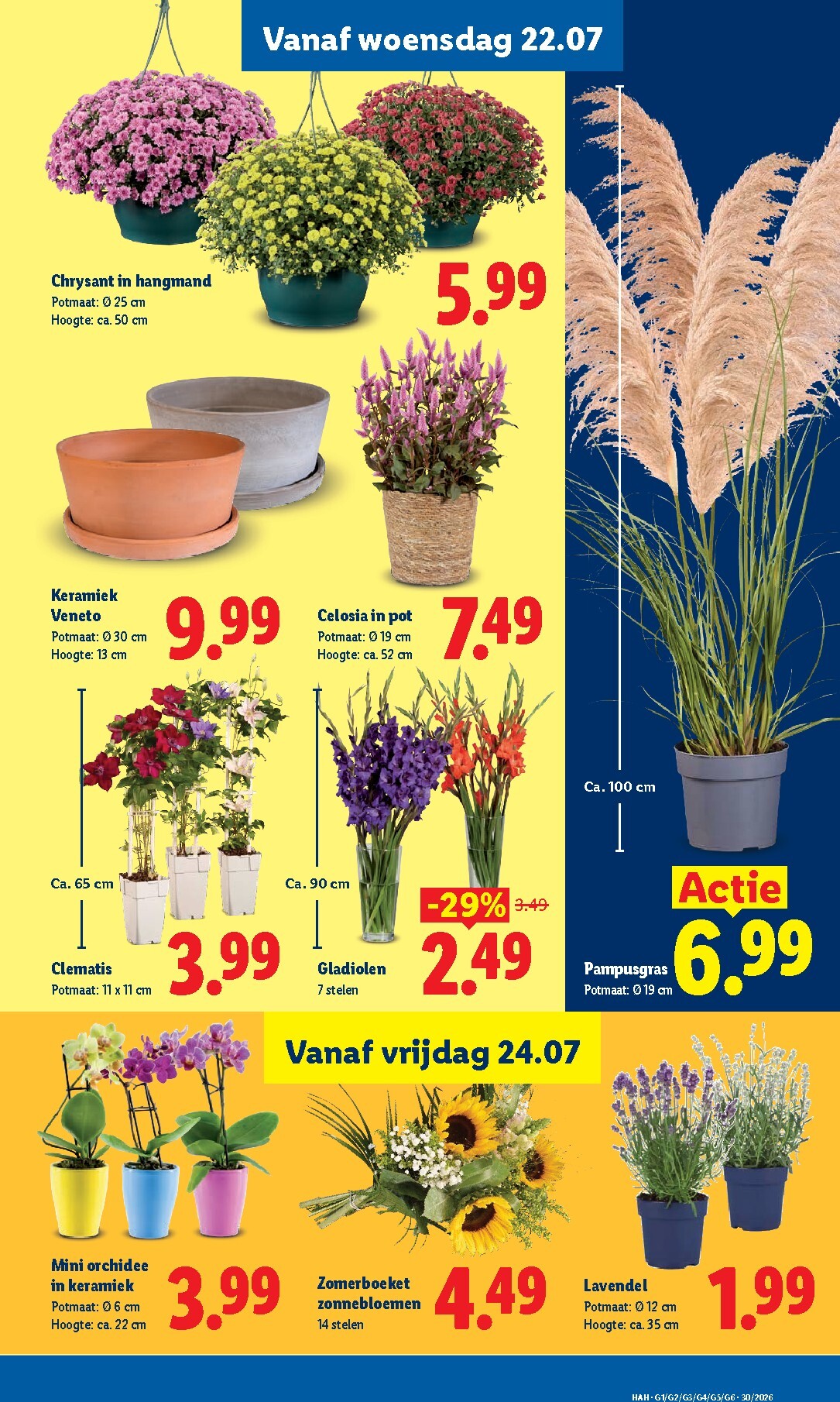 lidl - Lidl folder voor volgende week van maandag 20-07-2026 tot zondag 26-07-2026 - page: 14