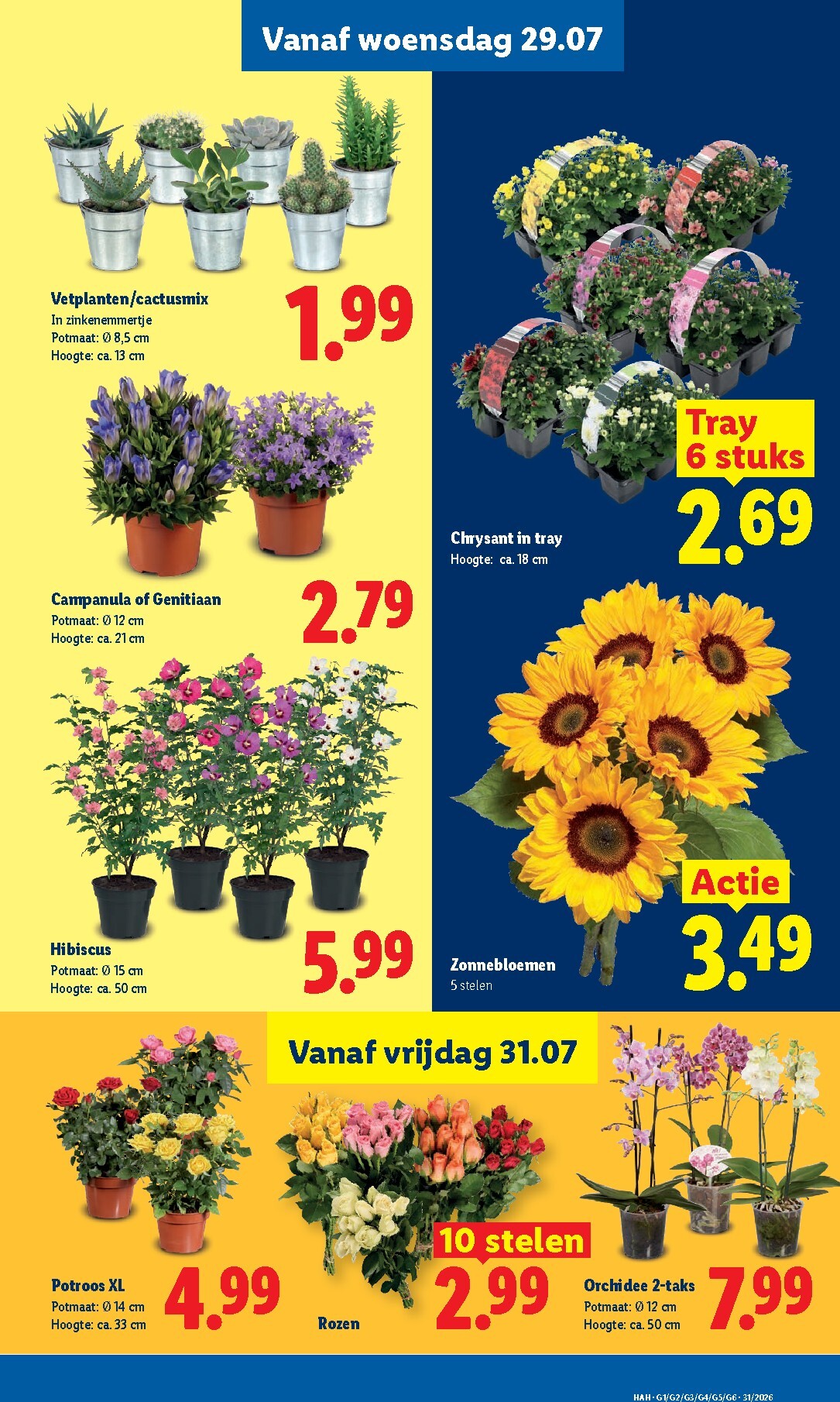 lidl - Lidl folder voor volgende week van maandag 27-07-2026 tot zondag 02-08-2026 - page: 23