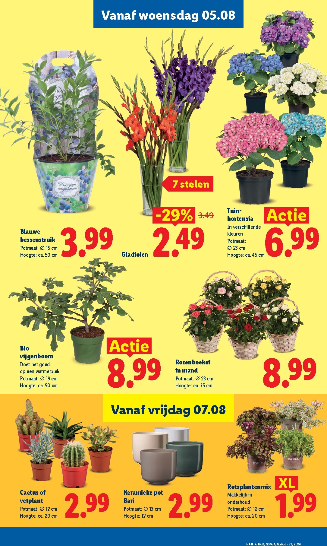 lidl - Lidl folder voor volgende week van maandag 03-08-2026 tot zondag 09-08-2026 - page: 35