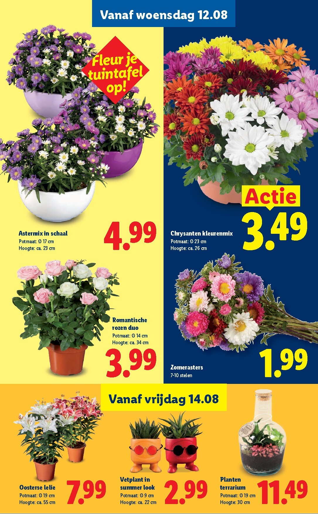 lidl - Lidl folder voor volgende week van maandag 10-08-2026 tot zondag 16-08-2026 - page: 16
