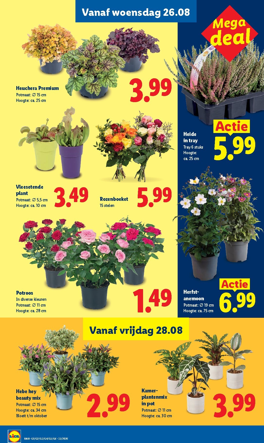 lidl - Lidl folder voor volgende week van maandag 24-08-2026 tot zondag 30-08-2026 - page: 20