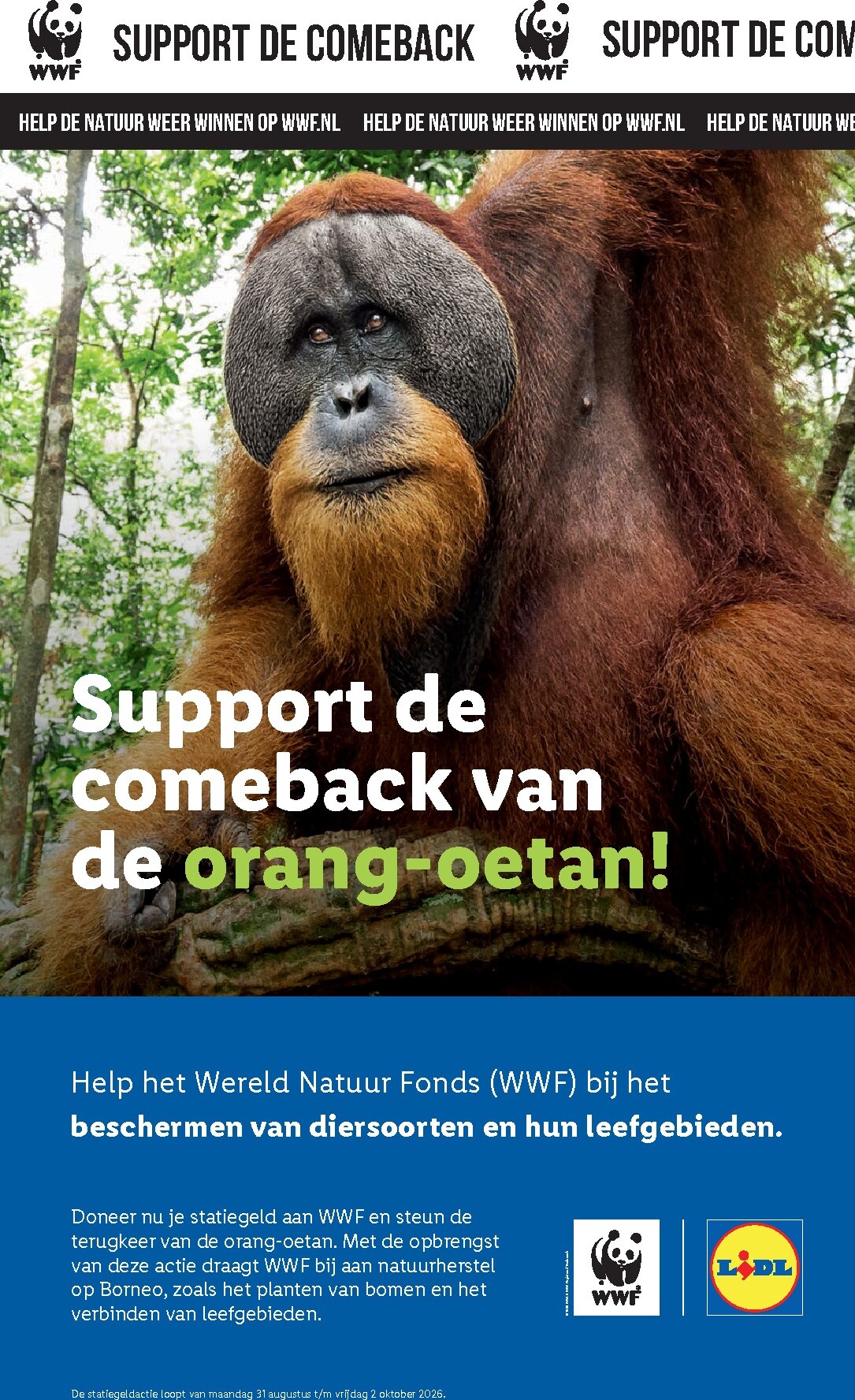 lidl - Lidl folder voor volgende week van maandag 31-08-2026 tot zondag 06-09-2026 - page: 49