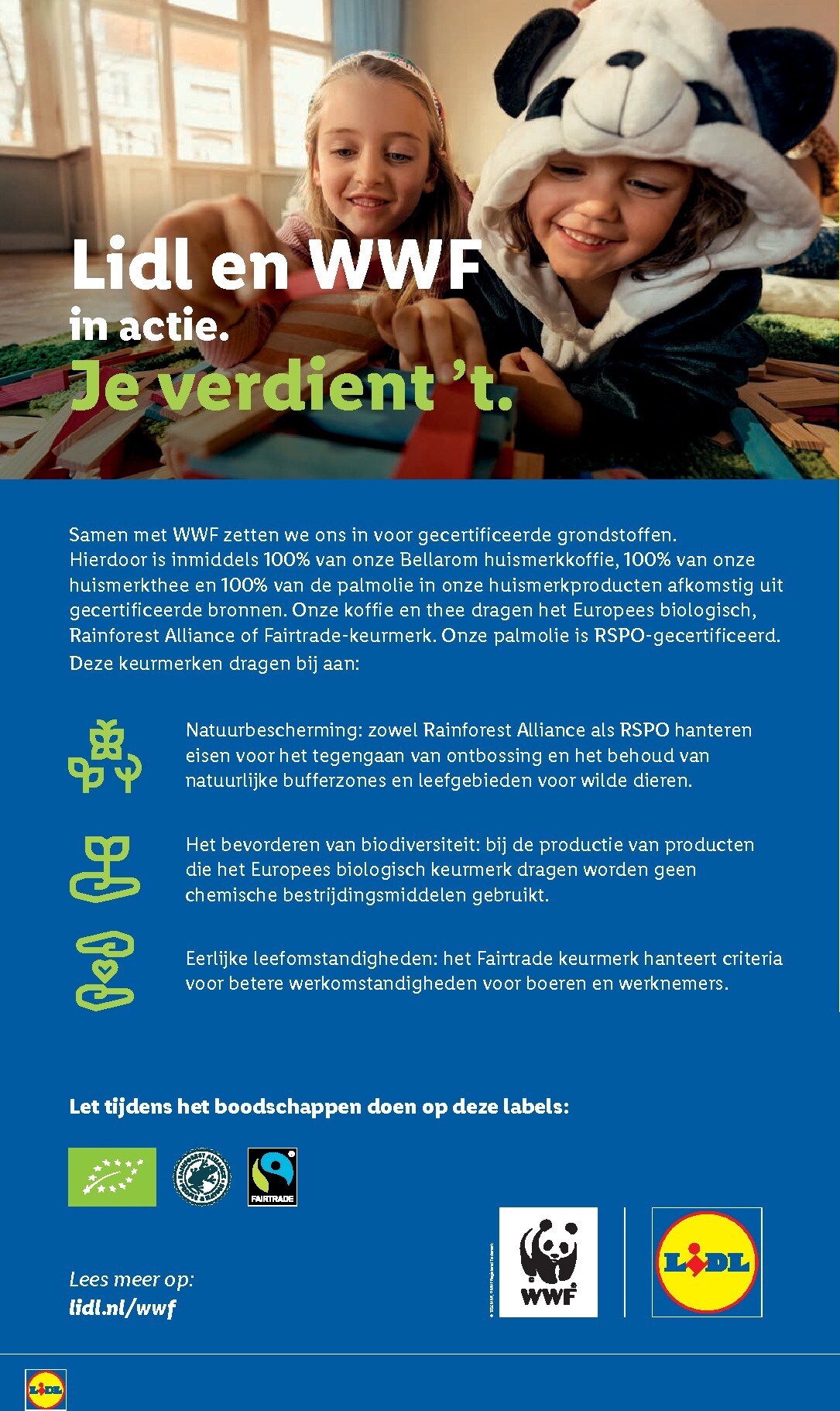 lidl - Lidl folder voor volgende week van maandag 31-08-2026 tot zondag 06-09-2026 - page: 41
