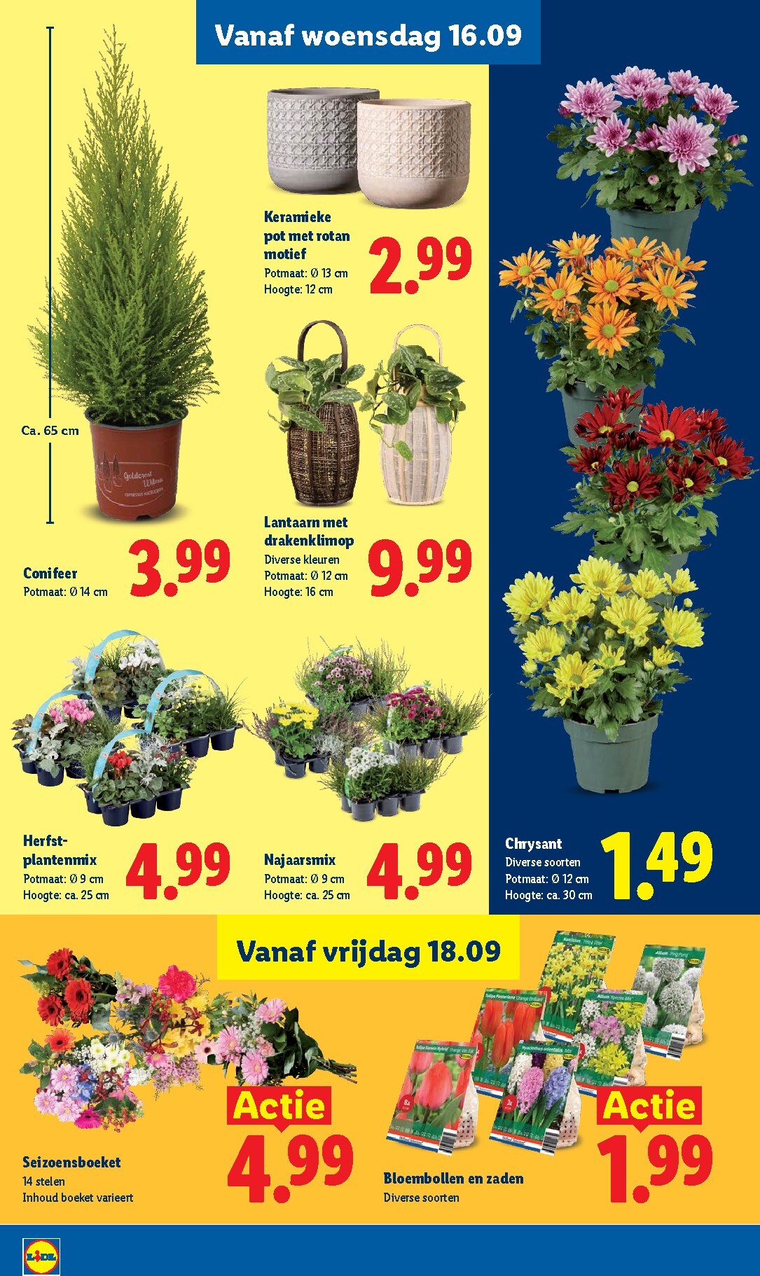 lidl - Lidl folder voor volgende week van maandag 14-09-2026 tot zondag 20-09-2026 - page: 17