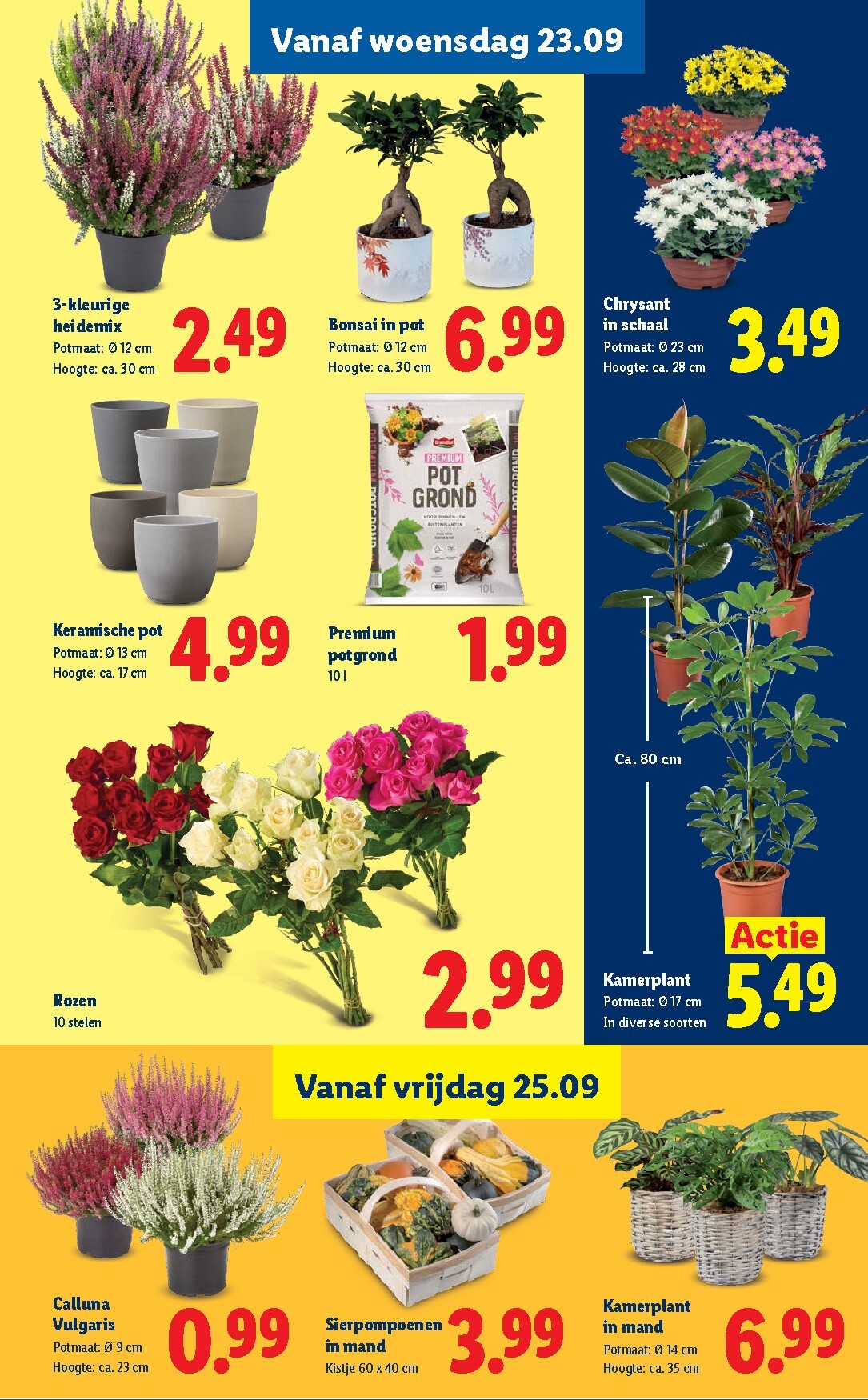 lidl - Lidl folder voor volgende week van maandag 21-09-2026 tot zondag 27-09-2026 - page: 16