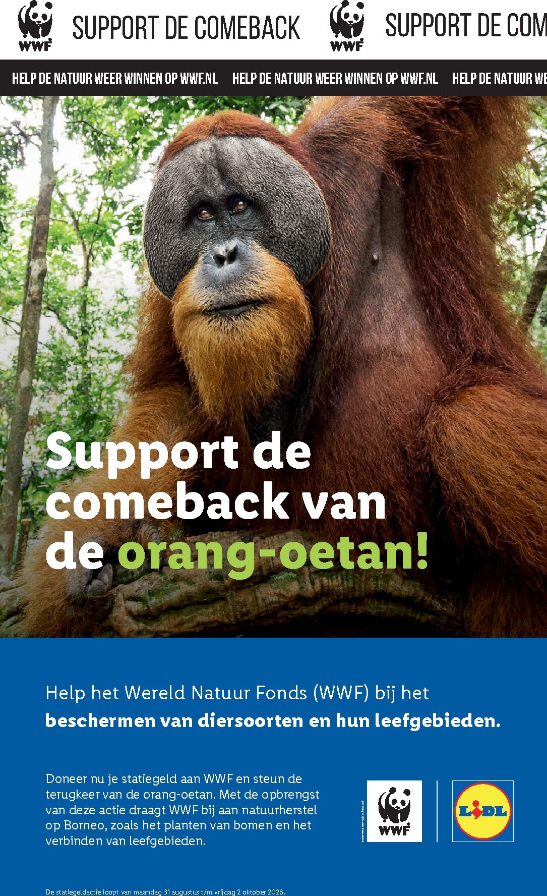 lidl - Lidl folder voor volgende week van maandag 28-09-2026 tot zondag 04-10-2026 - page: 45