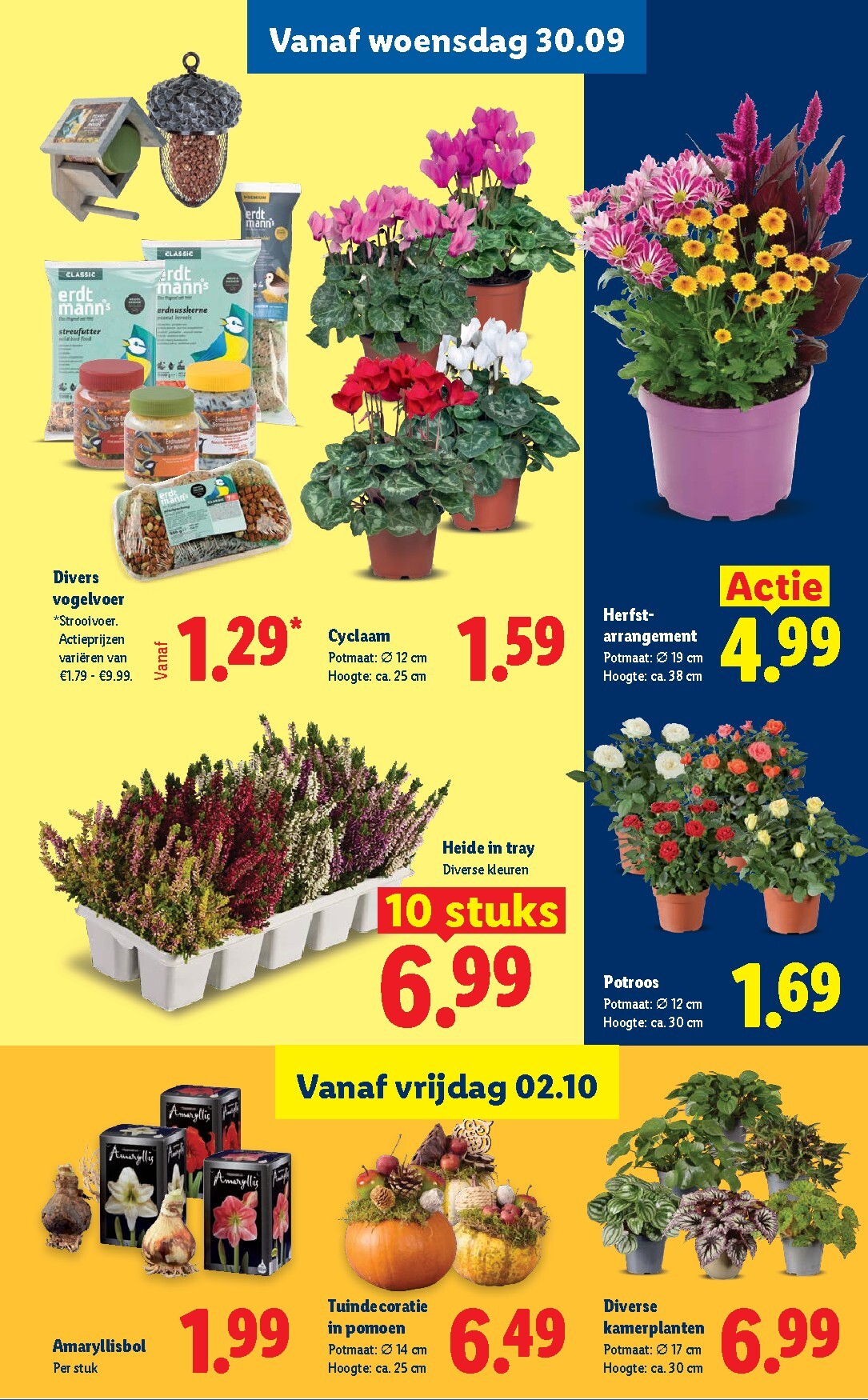 lidl - Lidl folder voor volgende week van maandag 28-09-2026 tot zondag 04-10-2026 - page: 22