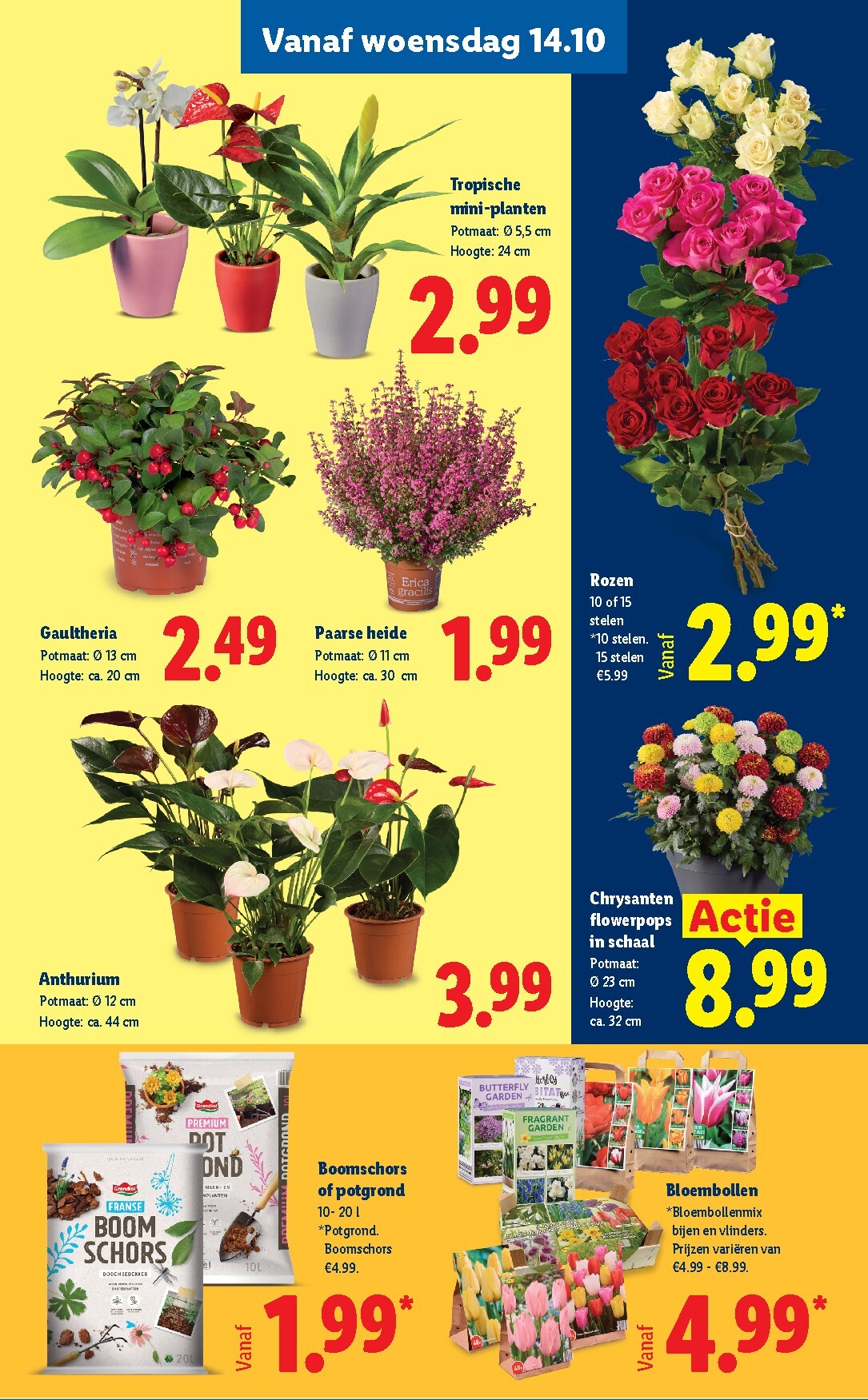 lidl - Lidl folder voor volgende week van maandag 12-10-2026 tot zondag 18-10-2026 - page: 24