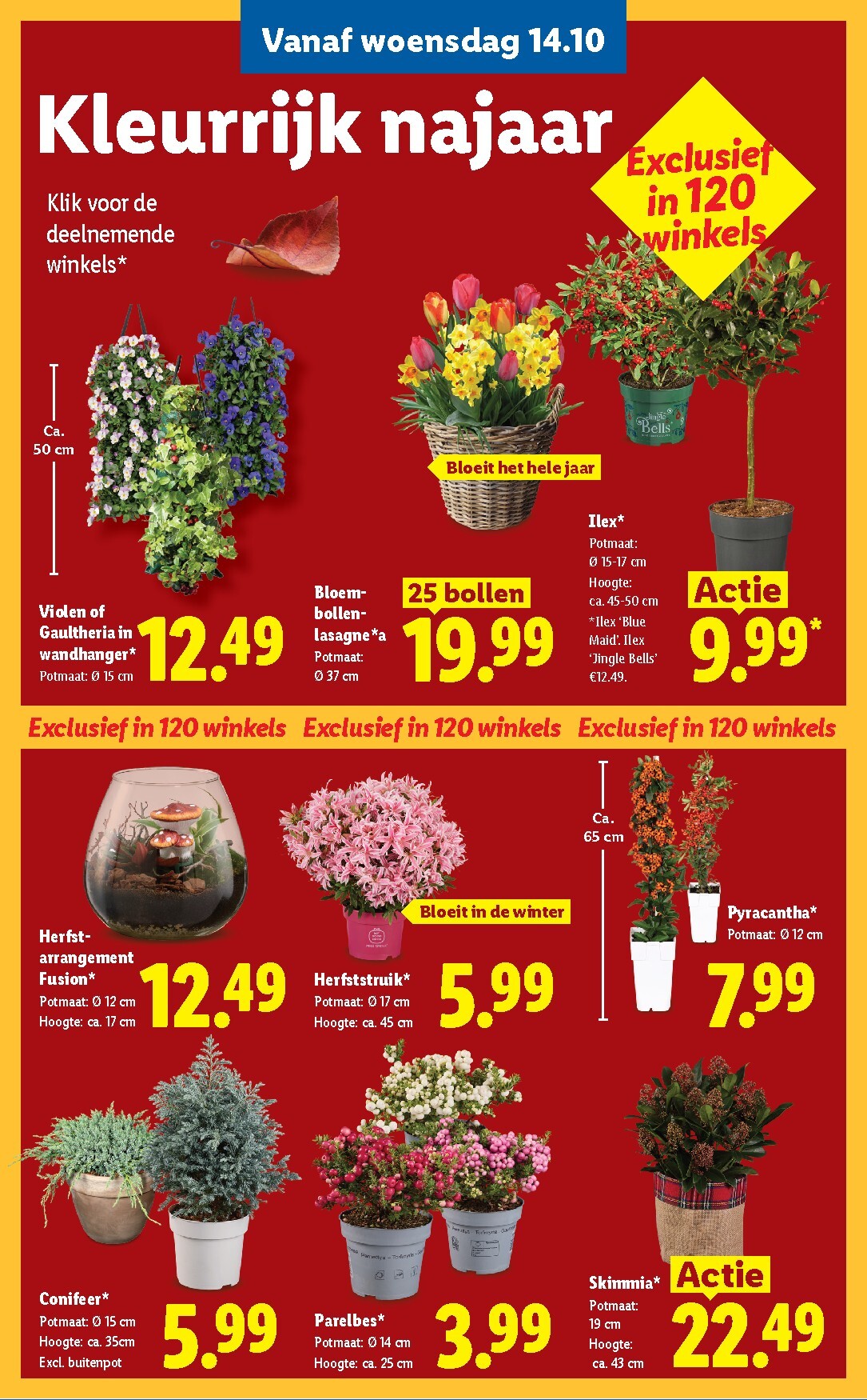 lidl - Lidl folder voor volgende week van maandag 12-10-2026 tot zondag 18-10-2026 - page: 25