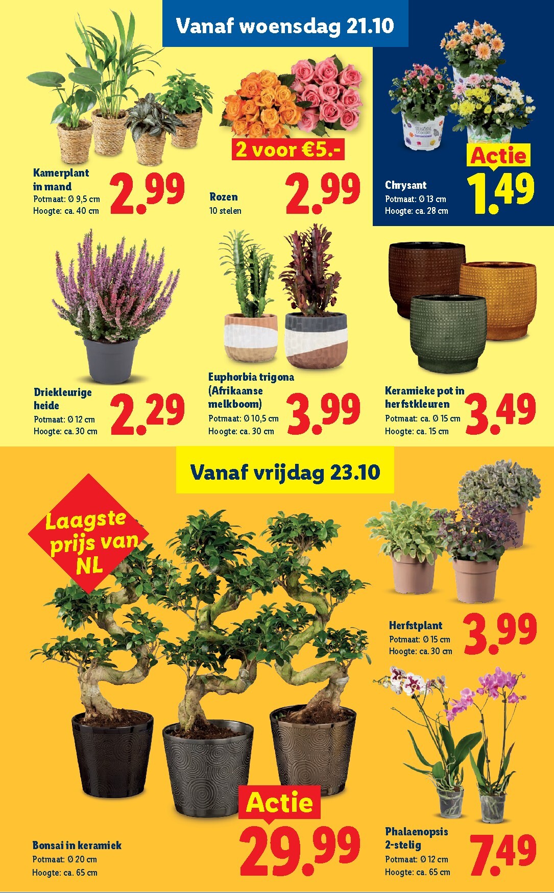 lidl - Huidige Lidl folder geldig van maandag 19-10-2026 tot zondag 25-10-2026 - page: 17