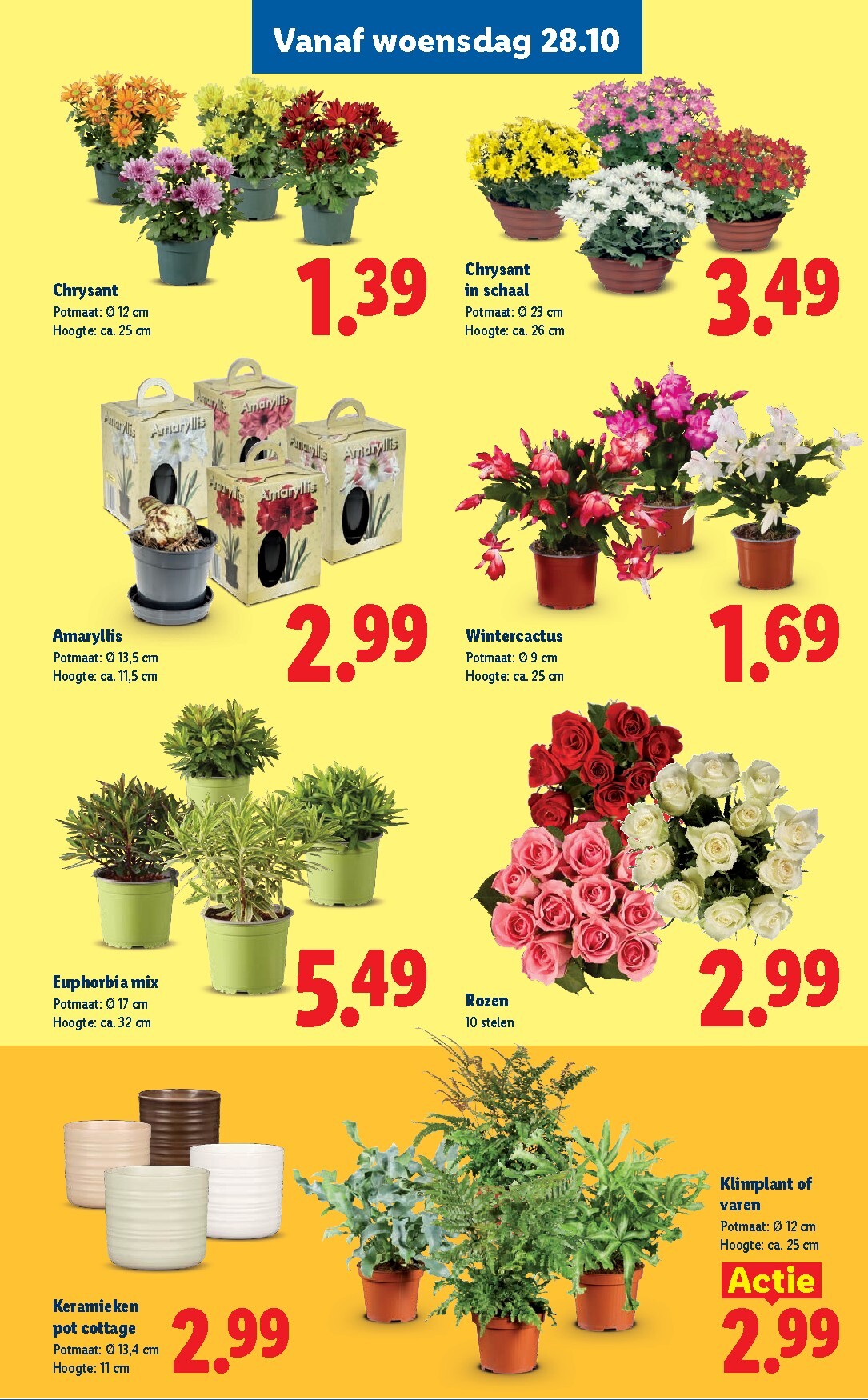 lidl - Lidl folder voor volgende week van maandag 26-10-2026 tot zondag 01-11-2026 - page: 15