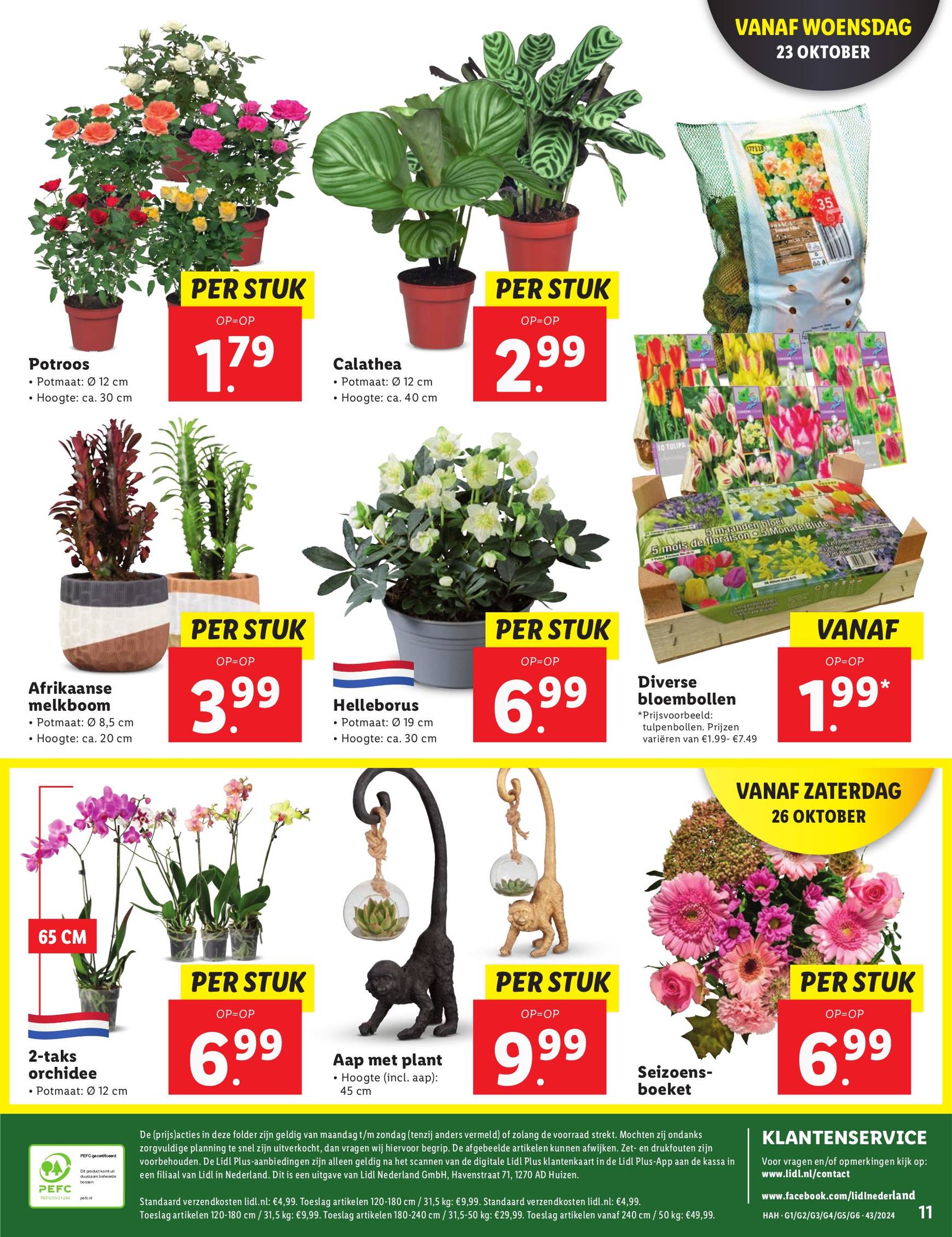 lidl - Lidl folder geldig vanaf 21.10. - 27.10. - page: 11