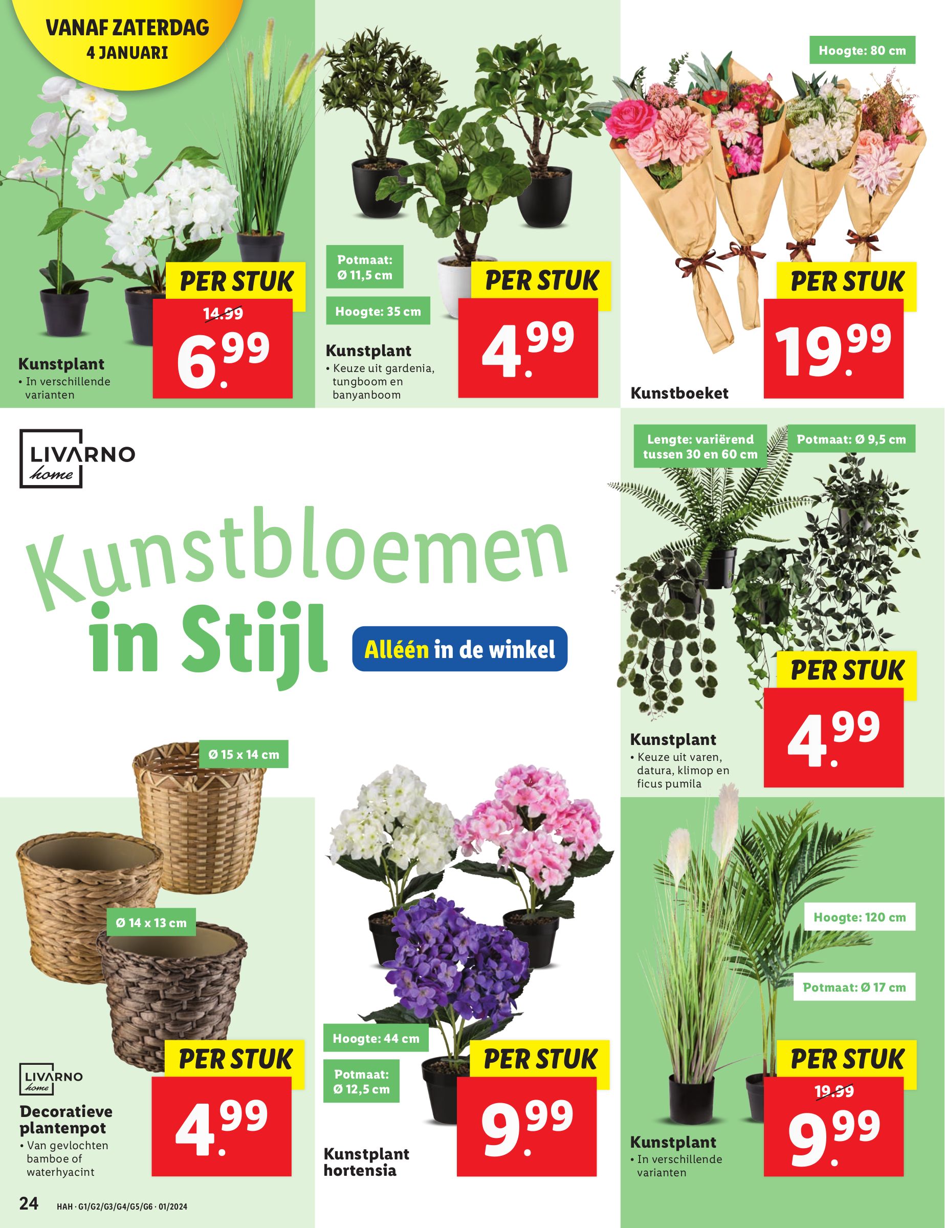 lidl - Lidl folder geldig vanaf 02-01 t/m 05-01 - page: 24