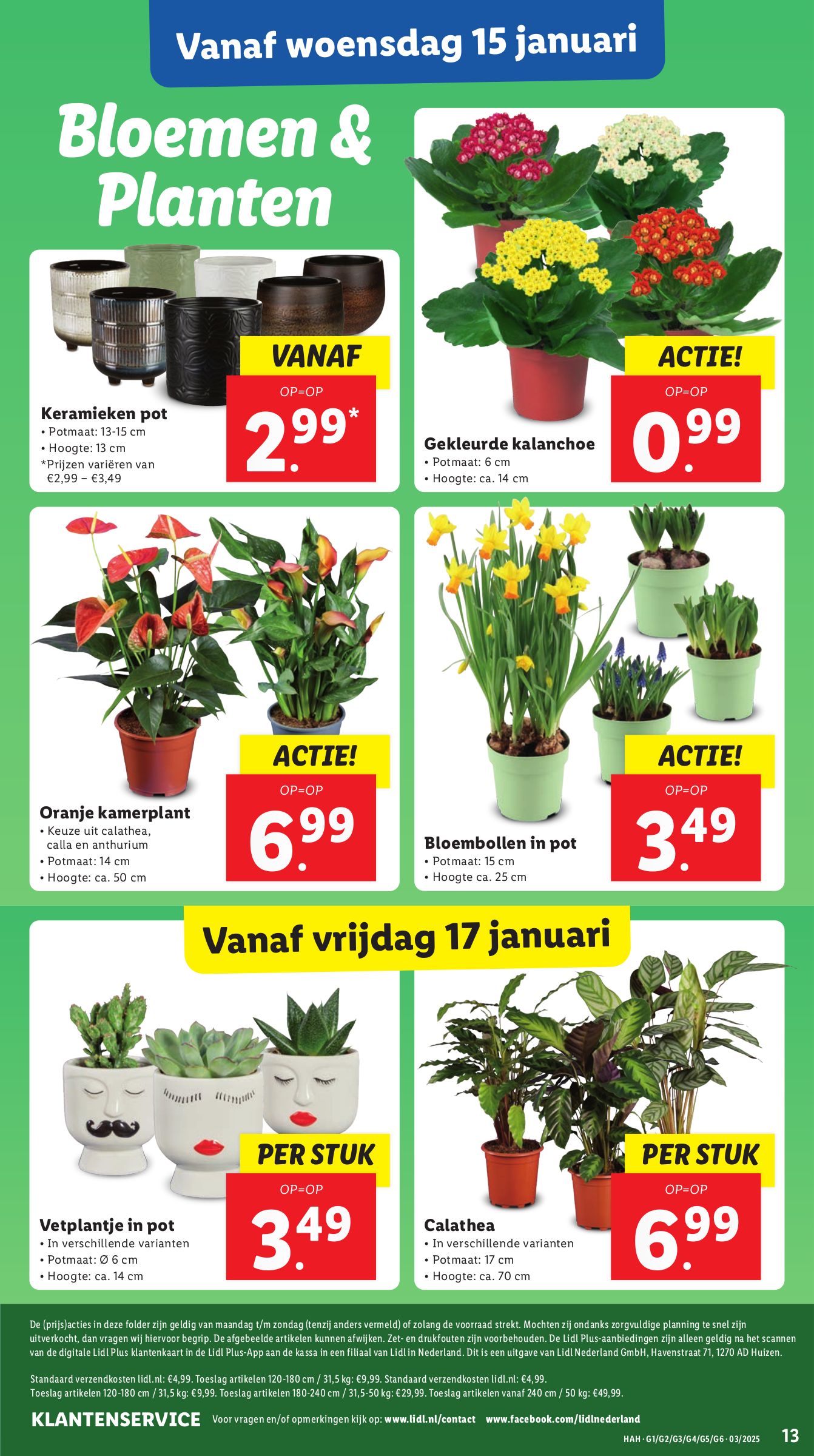 lidl - Lidl folder geldig vanaf 13-01 t/m 19-01 - page: 15