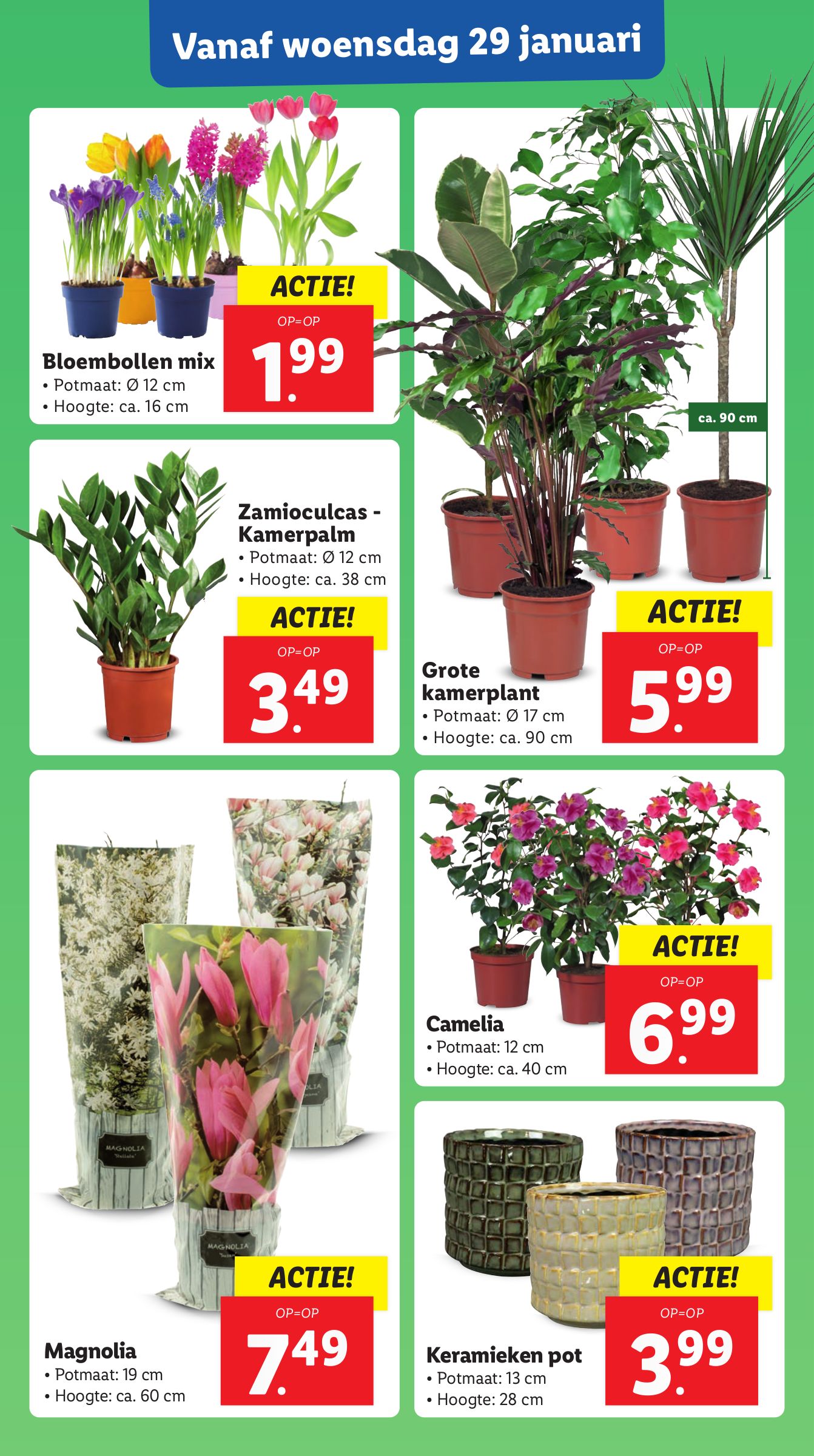 lidl - Lidl folder geldig vanaf 27-01 t/m 02-02 - page: 16