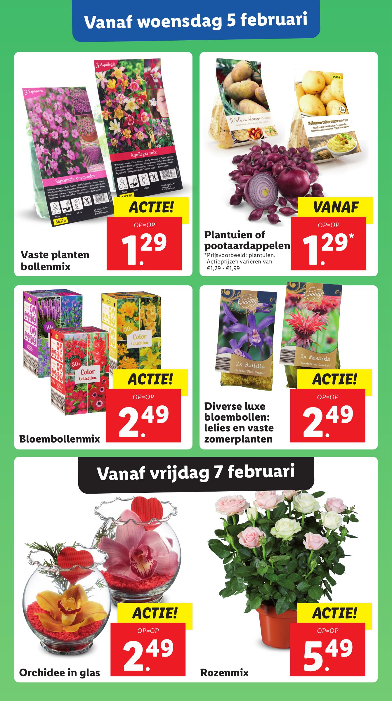 lidl - Lidl folder geldig vanaf 03-02 t/m 09-02 - page: 14