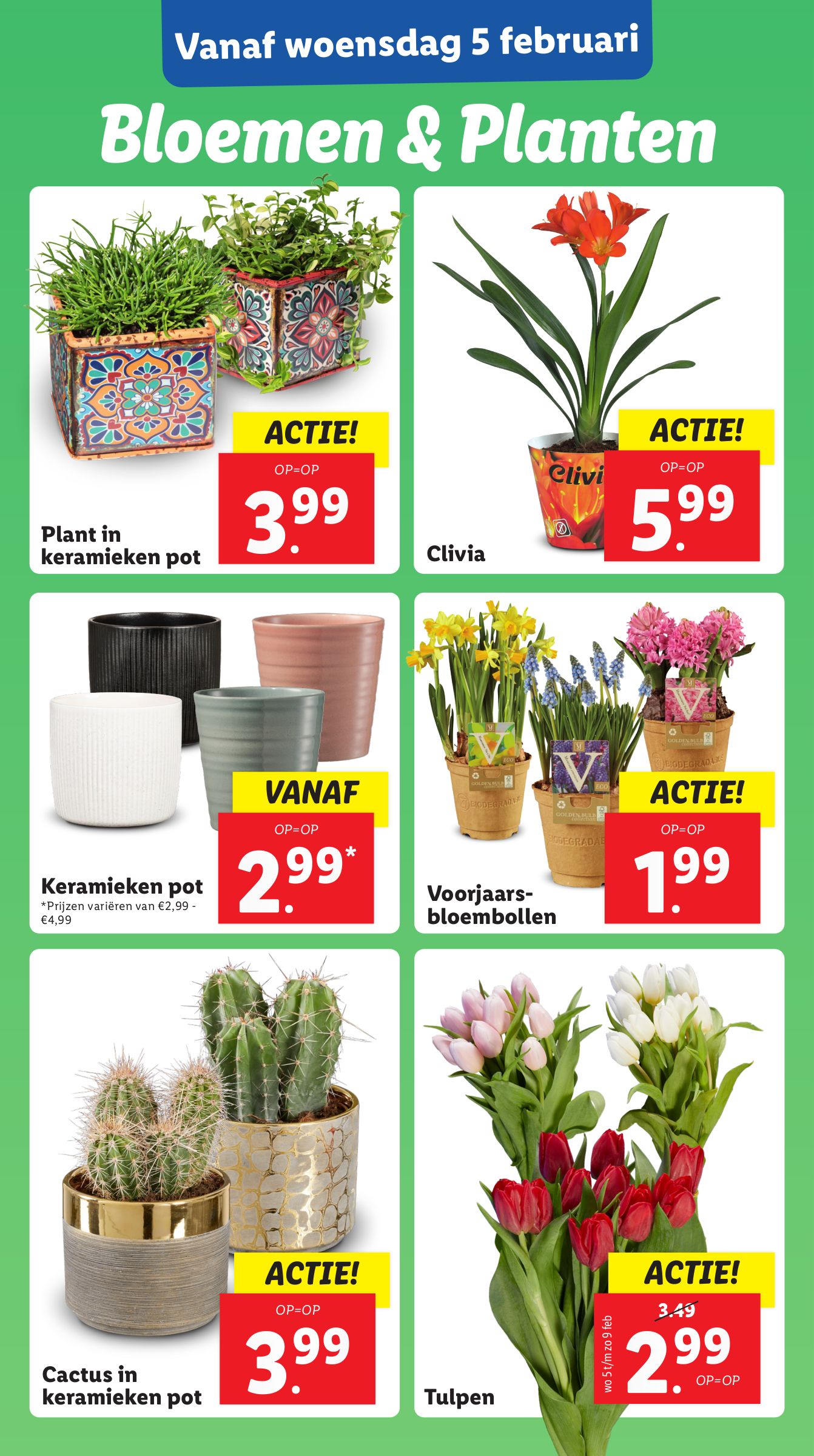 lidl - Lidl folder geldig vanaf 03-02 t/m 09-02 - page: 13