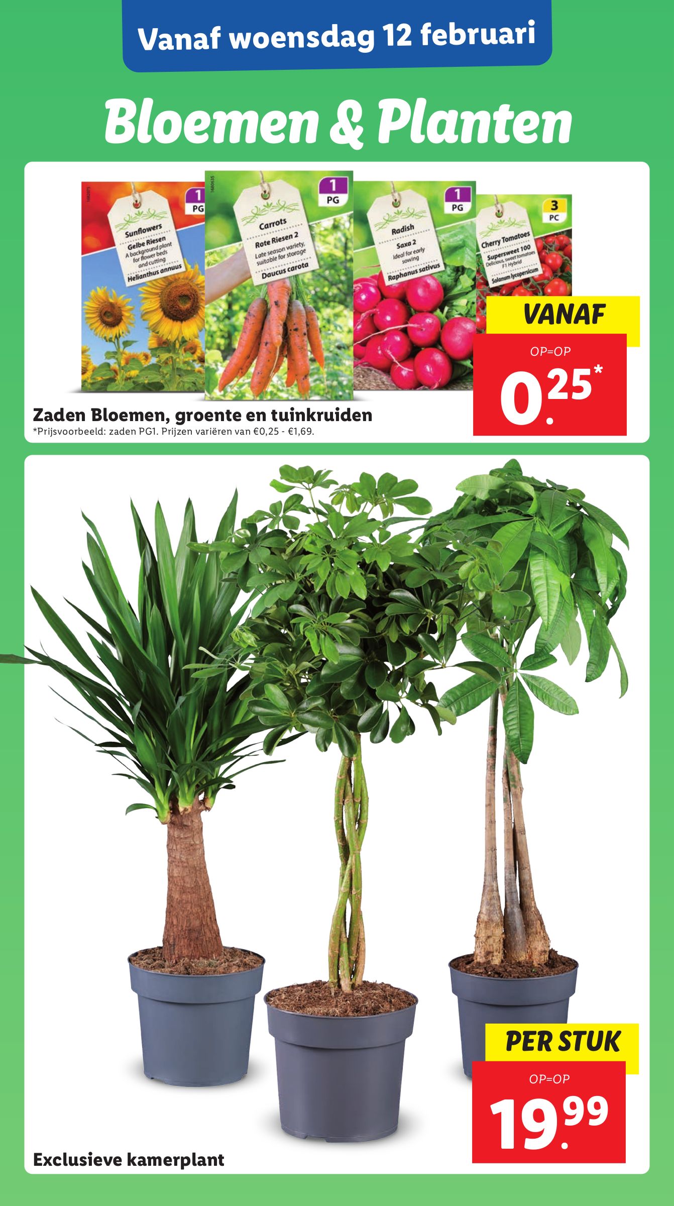 lidl - Lidl folder geldig vanaf 10-02 t/m 16-02 - page: 23