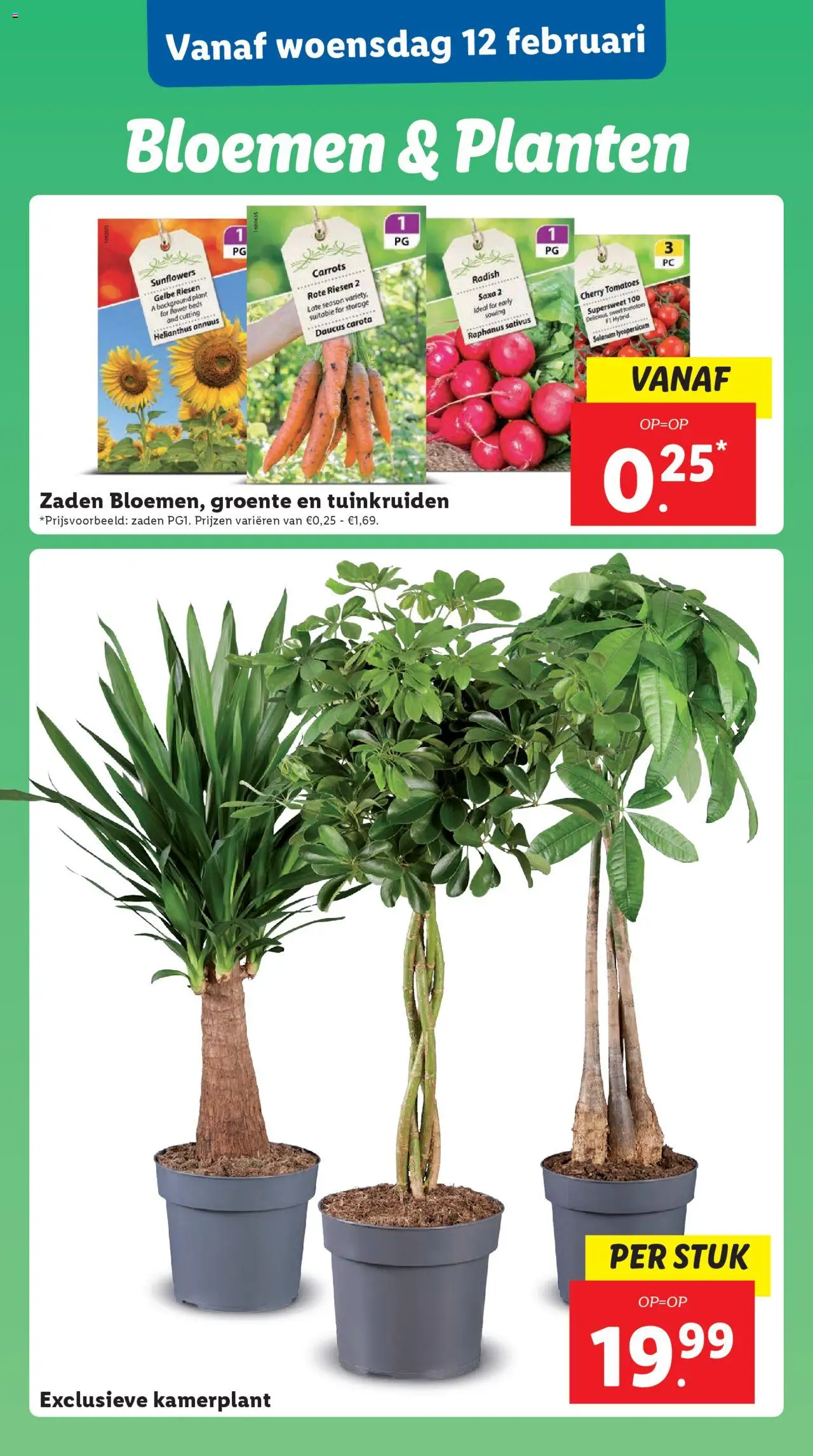 lidl - Lidl VALENTIJNSDAG 2025 10-02-2025 t/m 16-02-2025 - page: 23