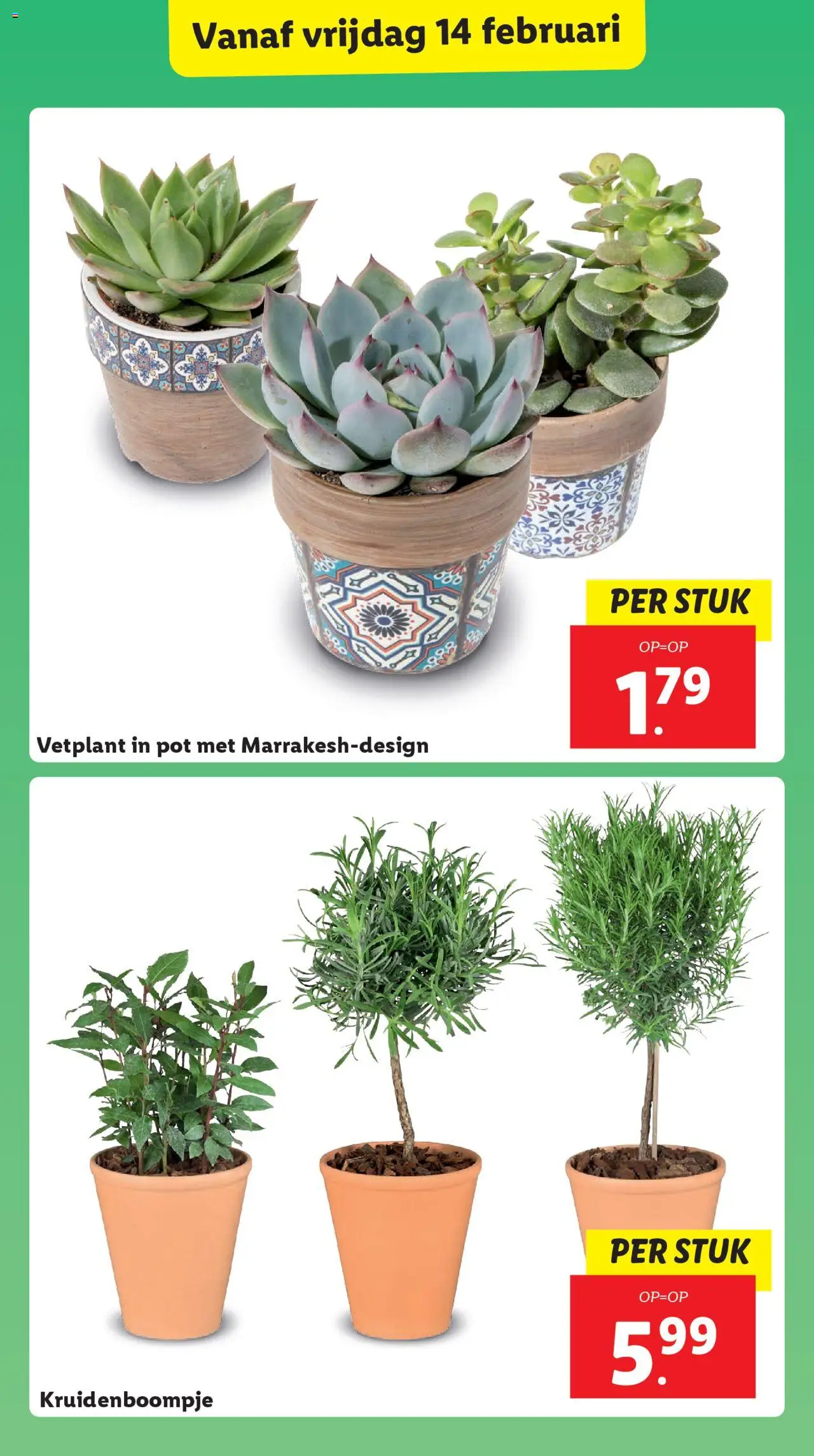 lidl - Lidl VALENTIJNSDAG 2025 10-02-2025 t/m 16-02-2025 - page: 25