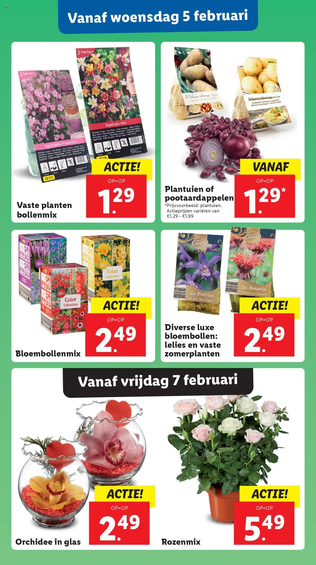 lidl - Lidl VALENTIJNSDAG 2025 03-02-2025 t/m 09-02-2025 - page: 14