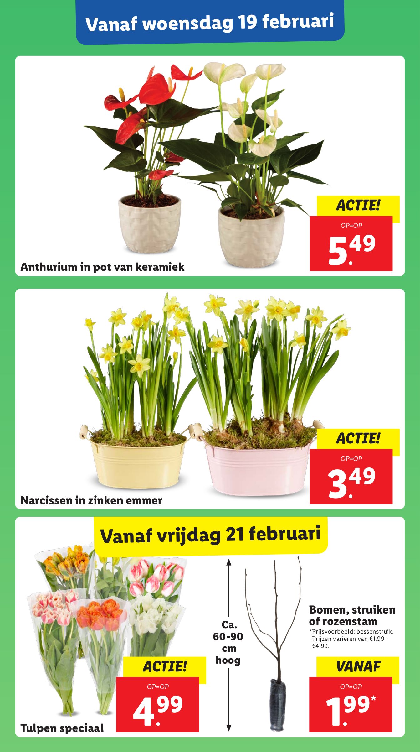 lidl - Lidl folder geldig vanaf 17-02 t/m 23-02 - page: 23