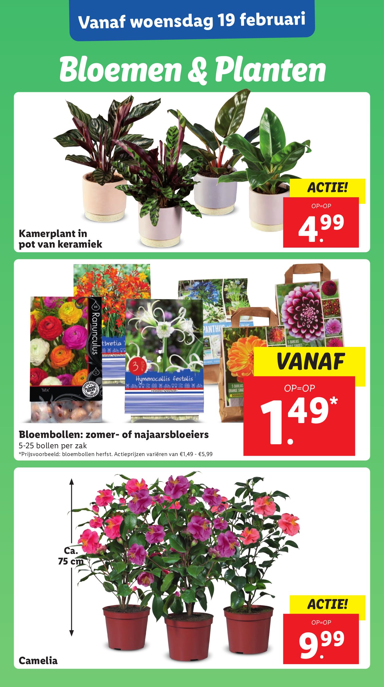 lidl - Lidl folder geldig vanaf 17-02 t/m 23-02 - page: 22