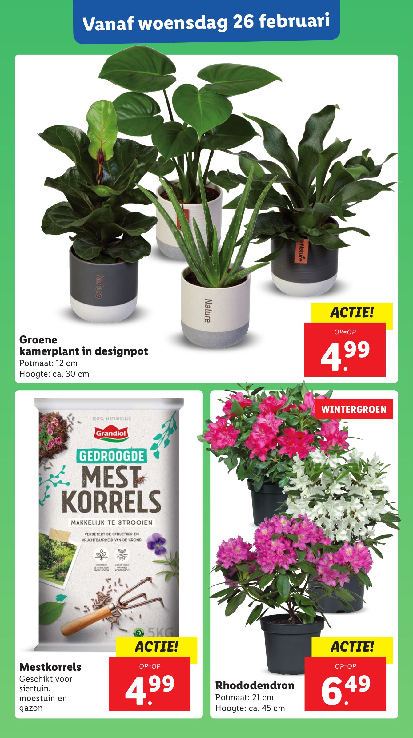 lidl - Lidl folder geldig vanaf 24-02 t/m 02-03 - page: 22