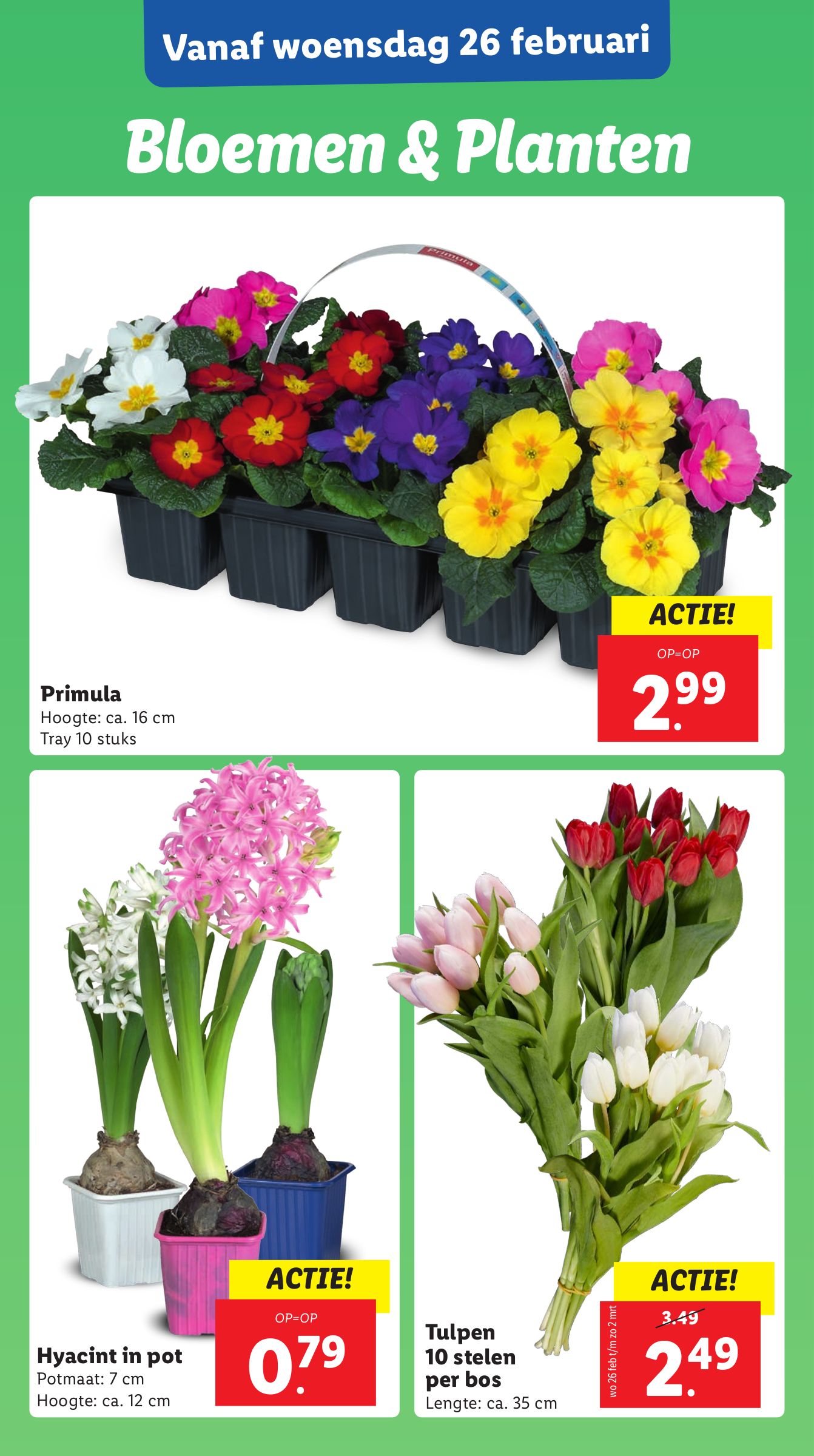 lidl - Lidl folder geldig vanaf 24-02 t/m 02-03 - page: 21