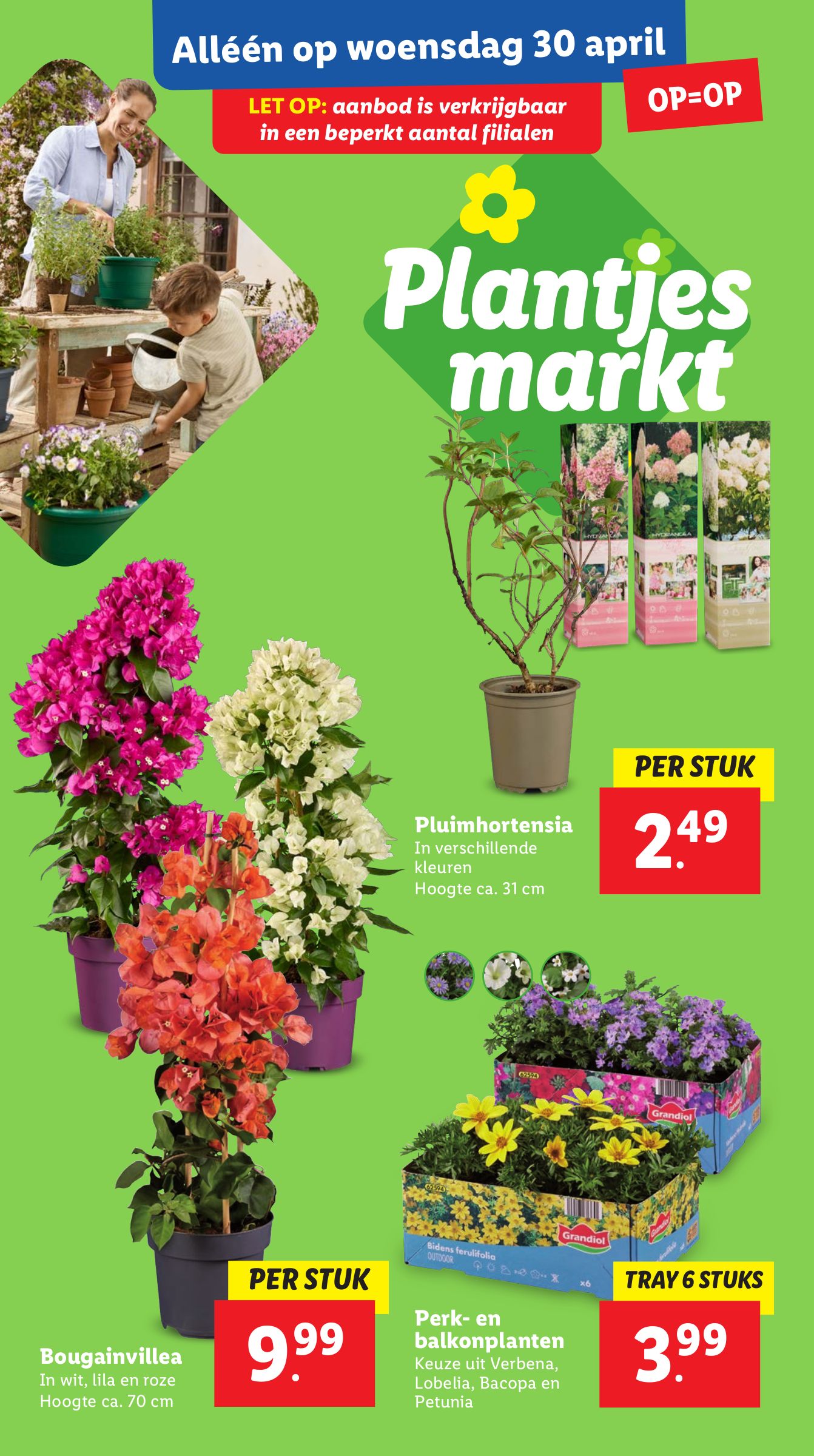 lidl - Lidl folder geldig vanaf 28-04 t/m 04-05 - page: 31 lidl - Lidl folder geldig vanaf 28-04 t/m 04-05 - page: 31